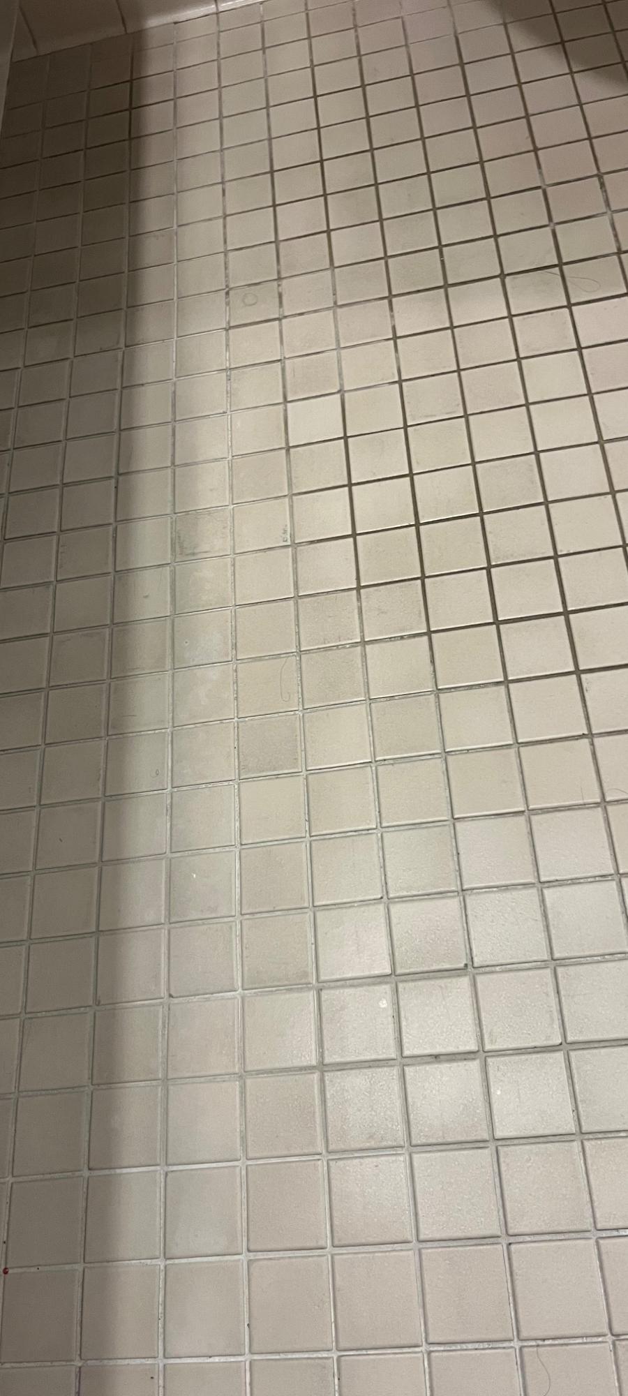 ICC Property Cleaning project photo 4