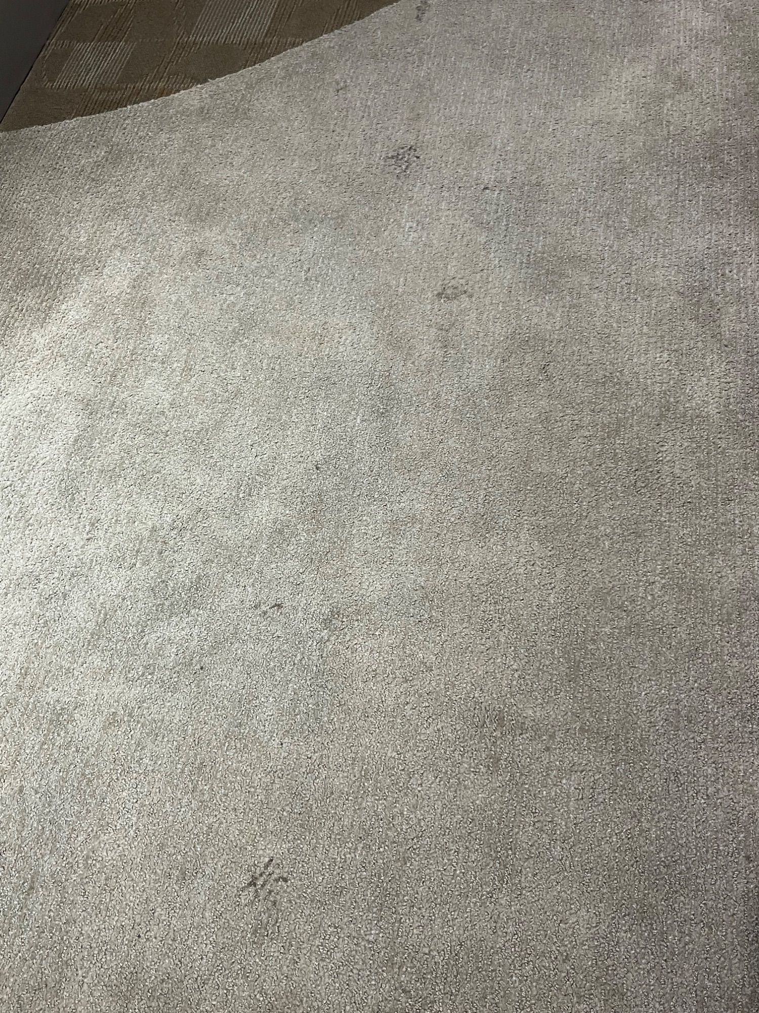 ICC Property Cleaning project photo 19