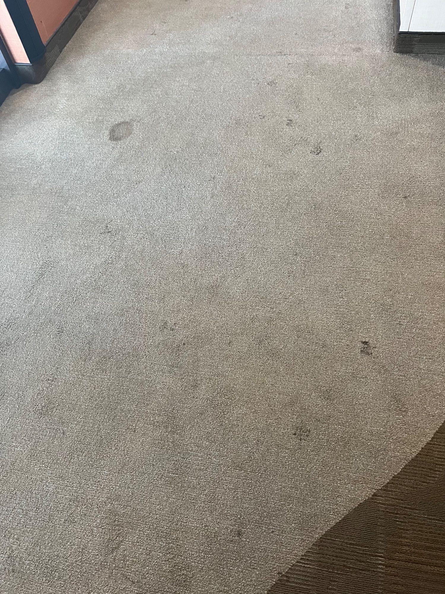 ICC Property Cleaning project photo 20