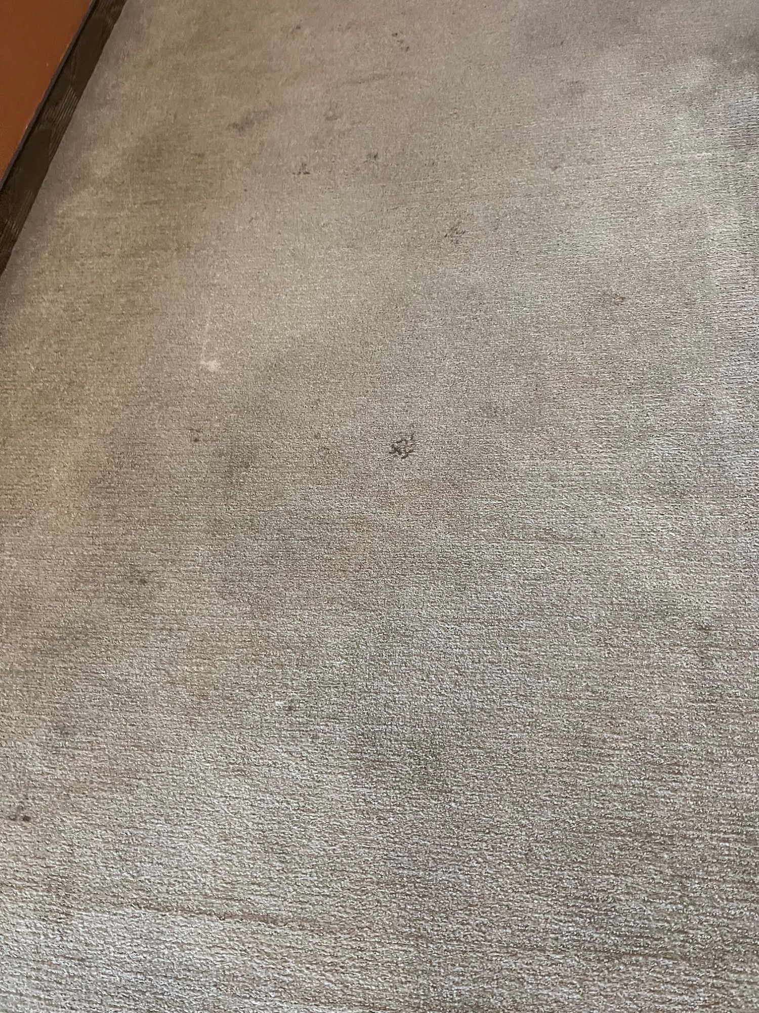 ICC Property Cleaning project photo 17