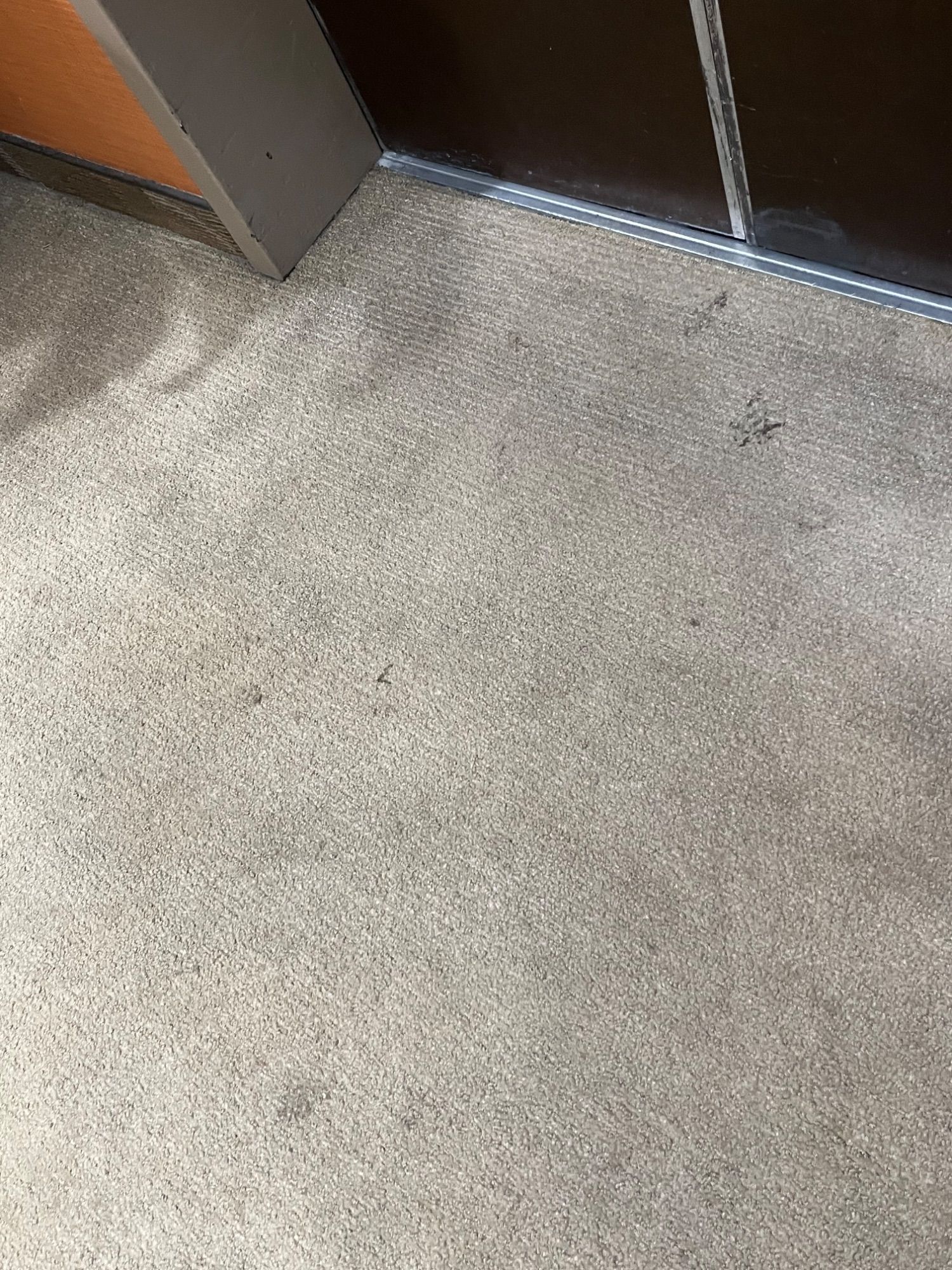 ICC Property Cleaning project photo 16