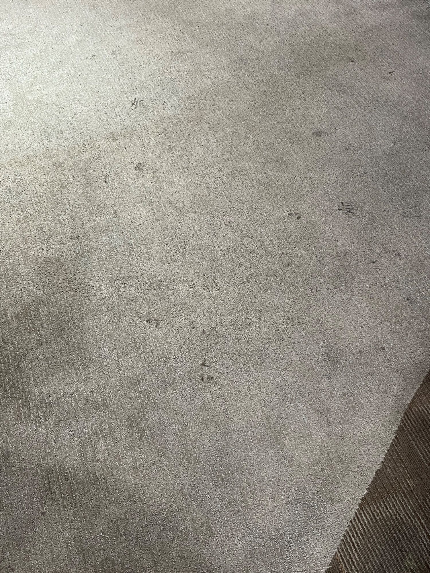 ICC Property Cleaning project photo 15