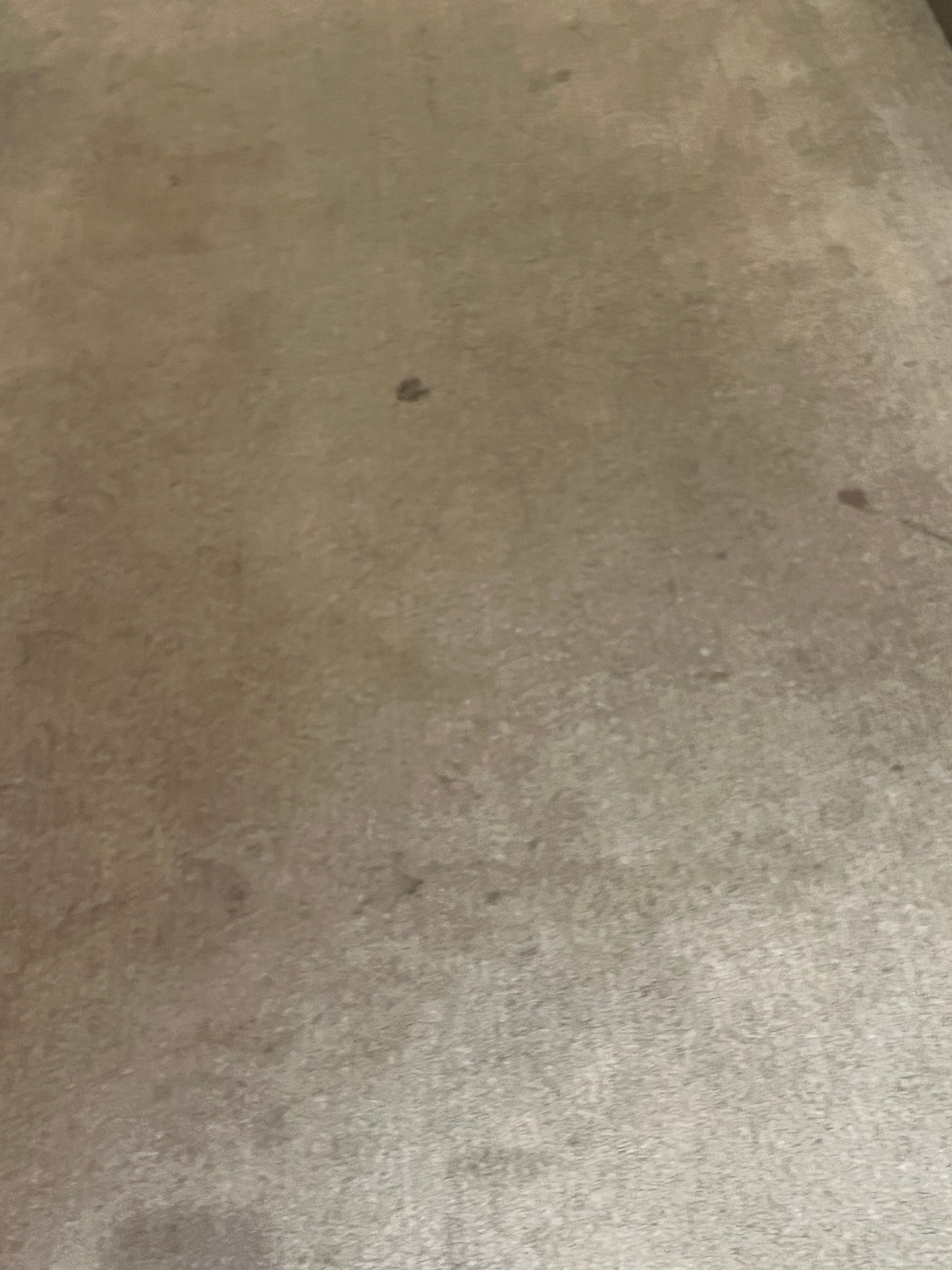 ICC Property Cleaning project photo 14