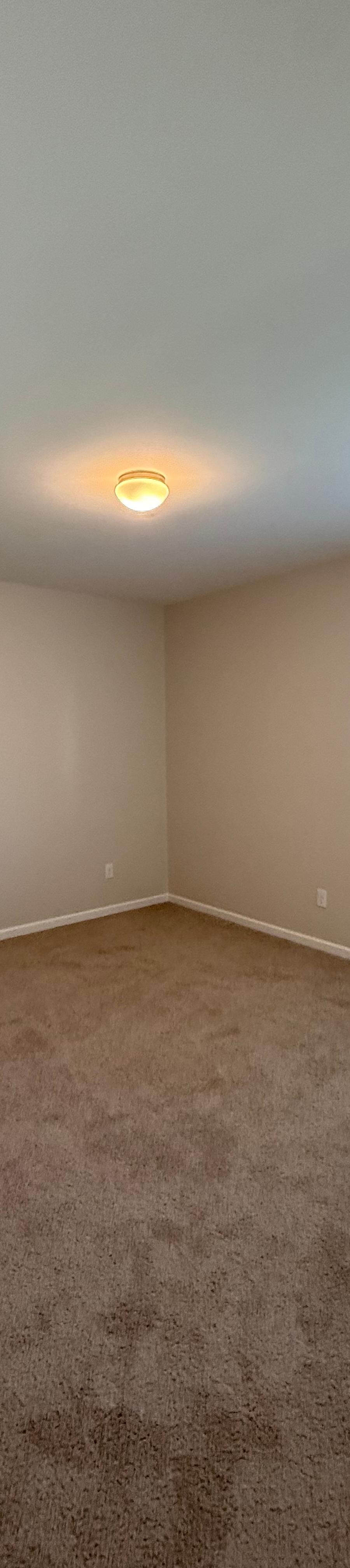 JD Painting project photo 8
