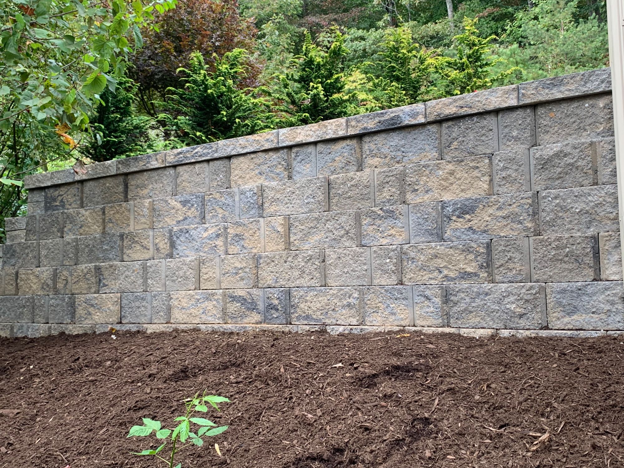 Jose's Landscaping project photo 5