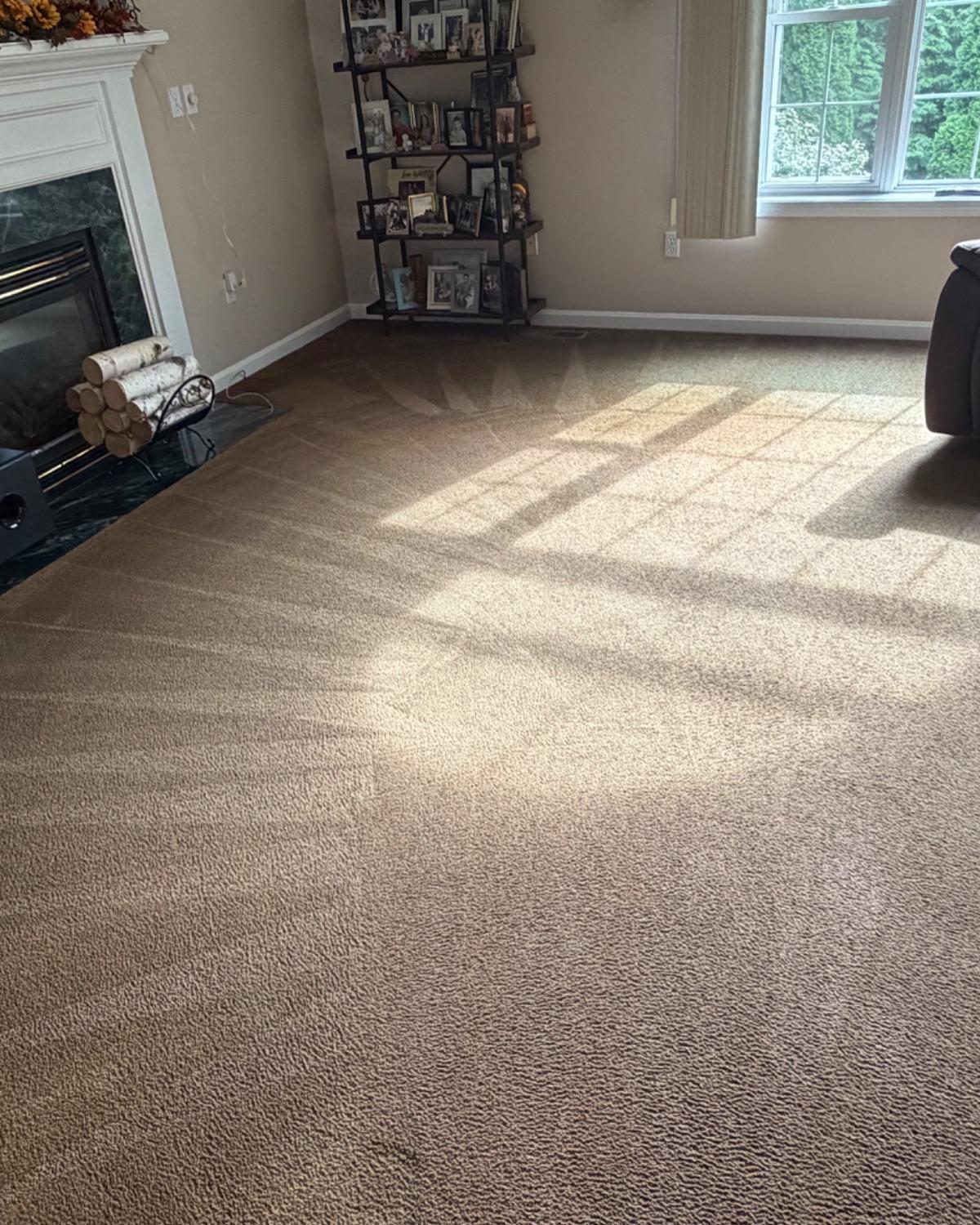 Commercial & Residential Carpet Cleaning
