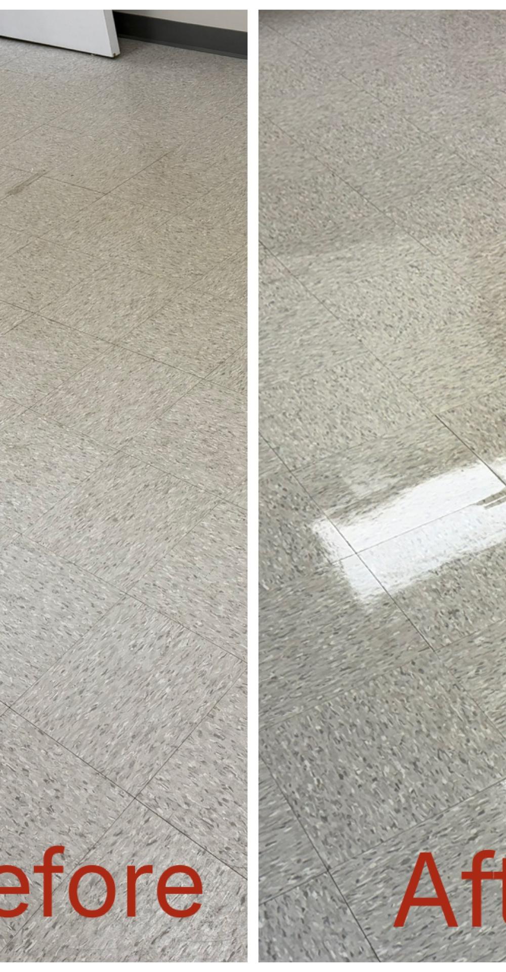 How Often Should You Get Your Carpets Professionally Cleaned?
