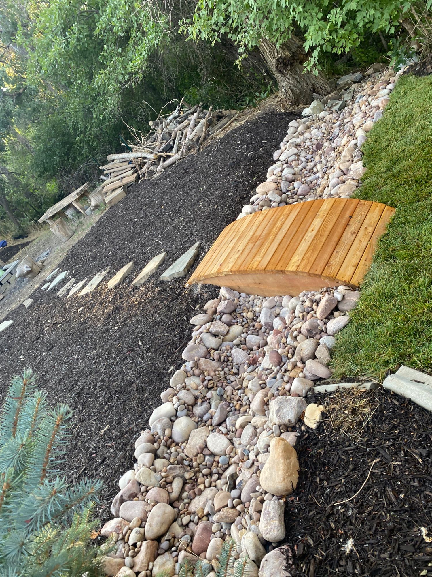 Lomeli Organization project photo 19