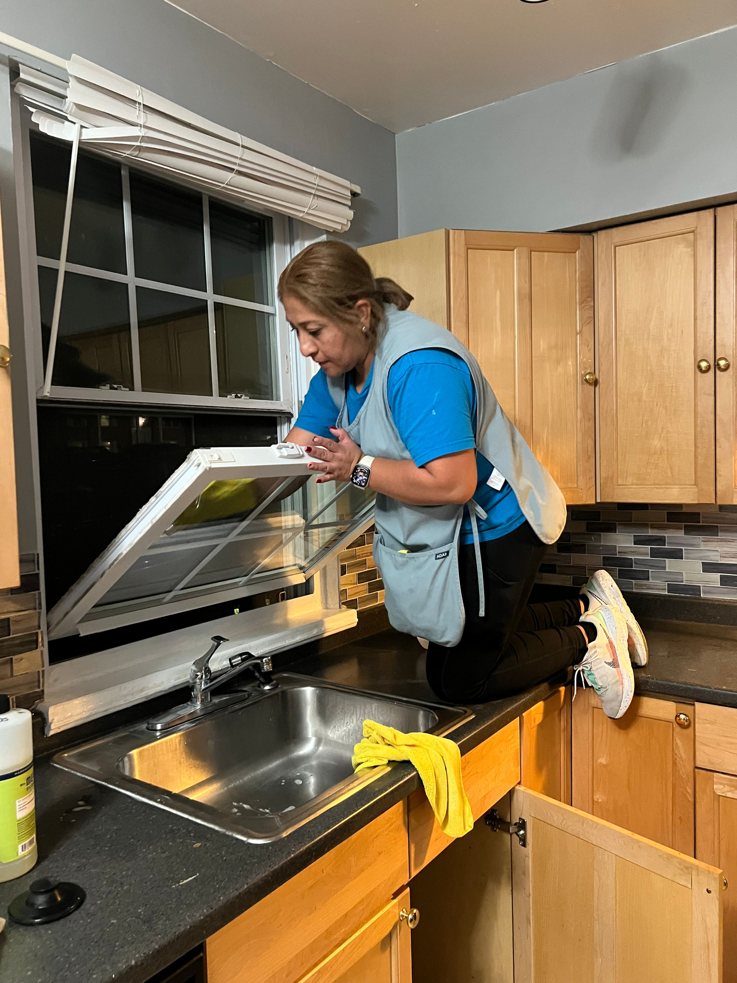 Lulu's Cleaning Service Inc project photo 4