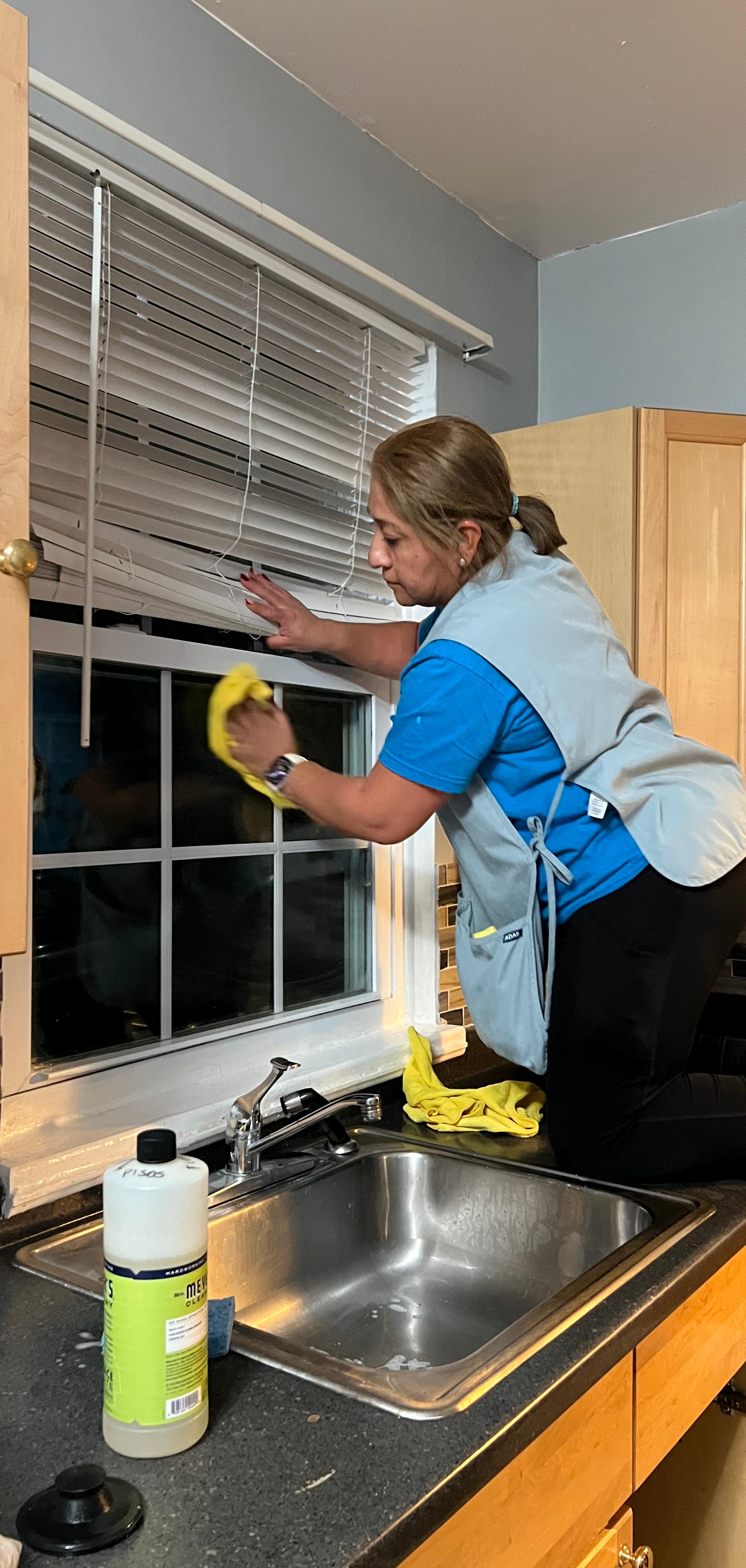 Lulu's Cleaning Service Inc team at work