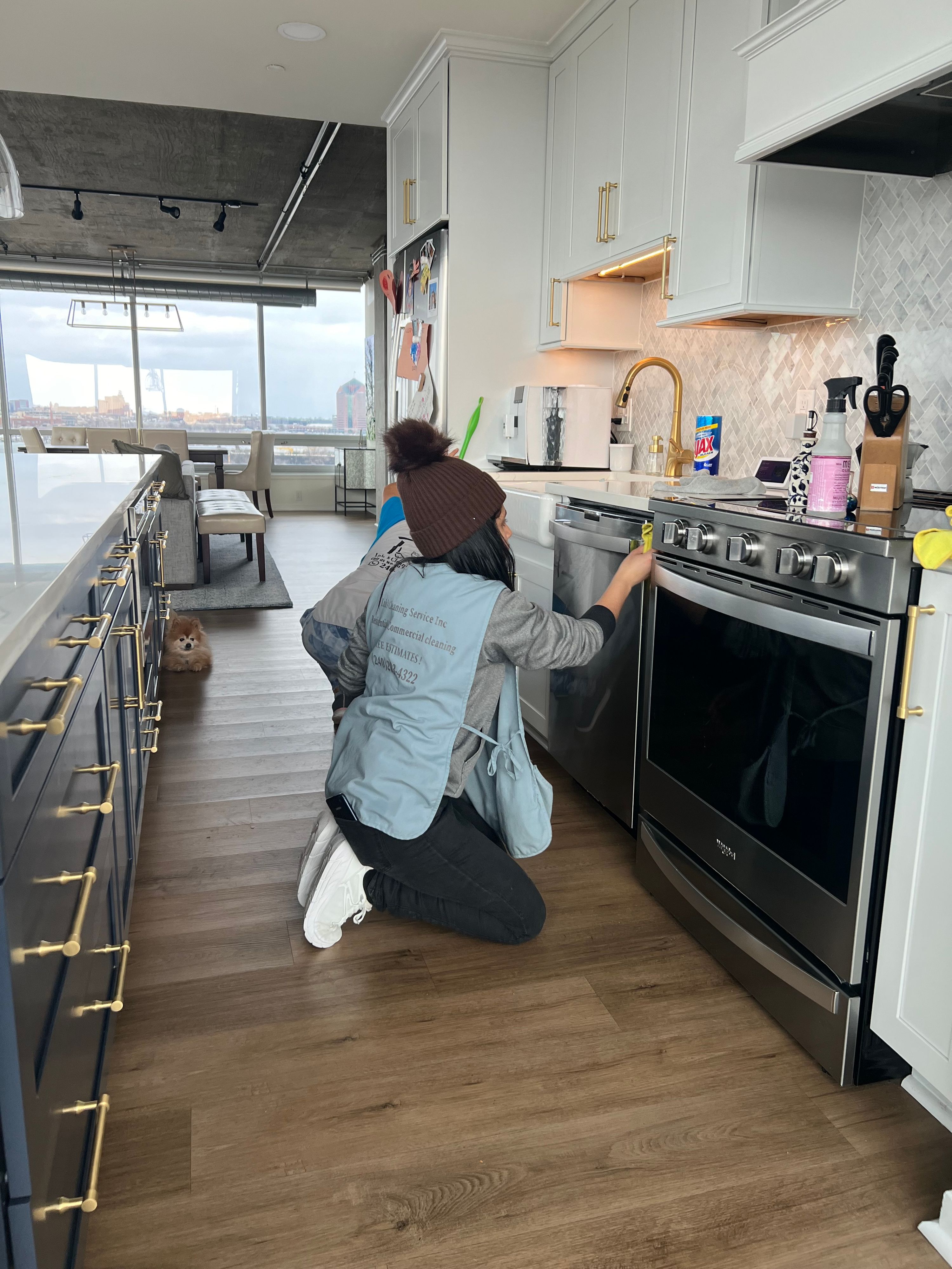 Lulu's Cleaning Service Inc project photo 13