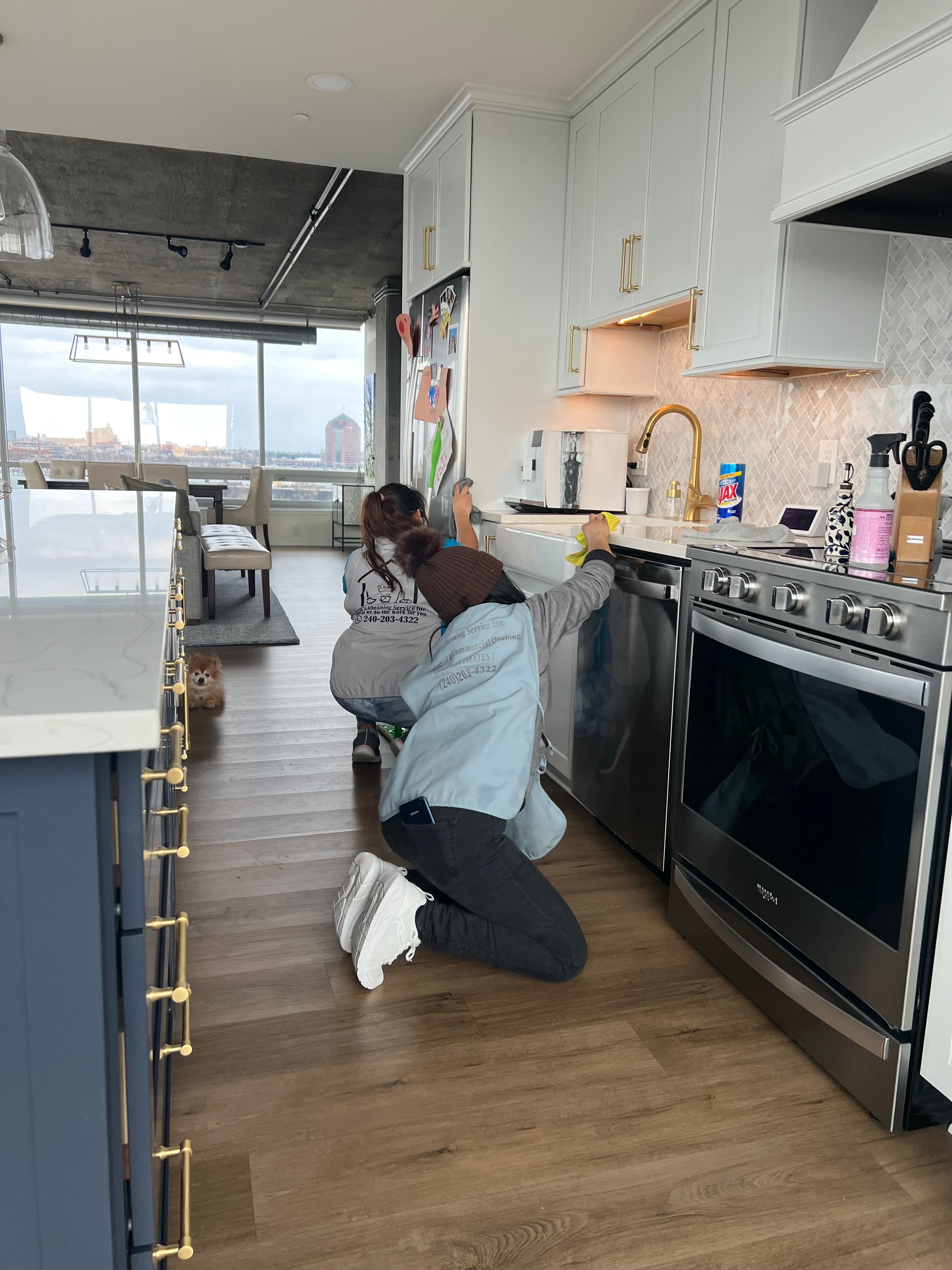Lulu's Cleaning Service Inc project photo 11