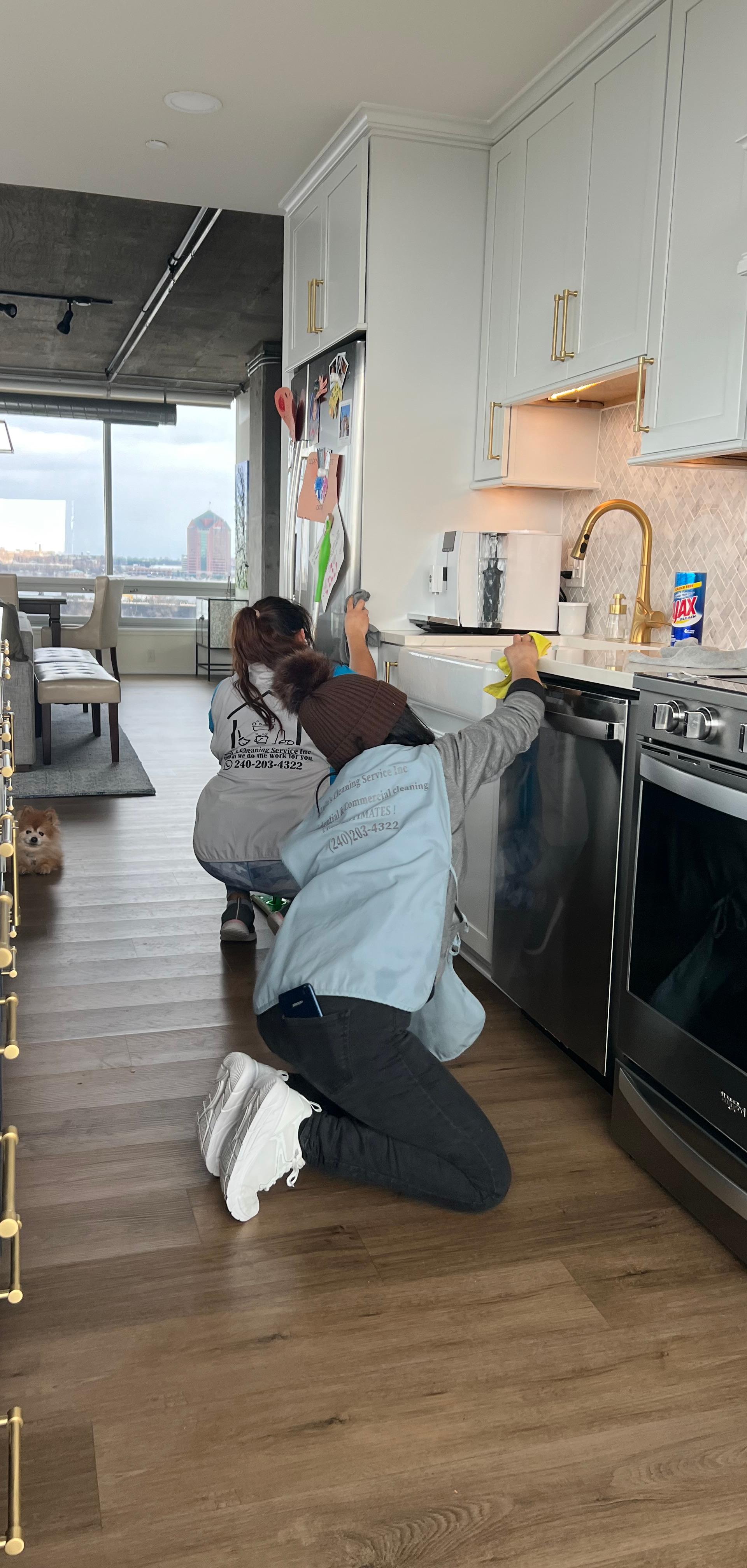 A Lulu's Cleaning Service cleaner scrubbing a stove front in a bright Baltimore kitchen