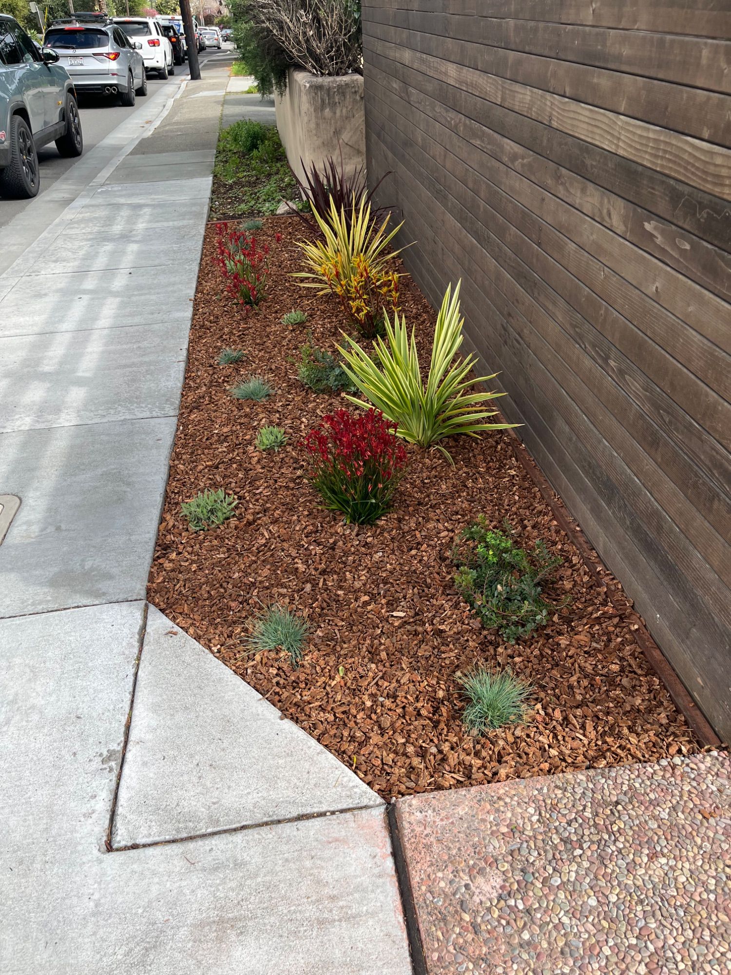 A narrow street-side bed of red bark planted with grasses and succulents against a wood-clad wall