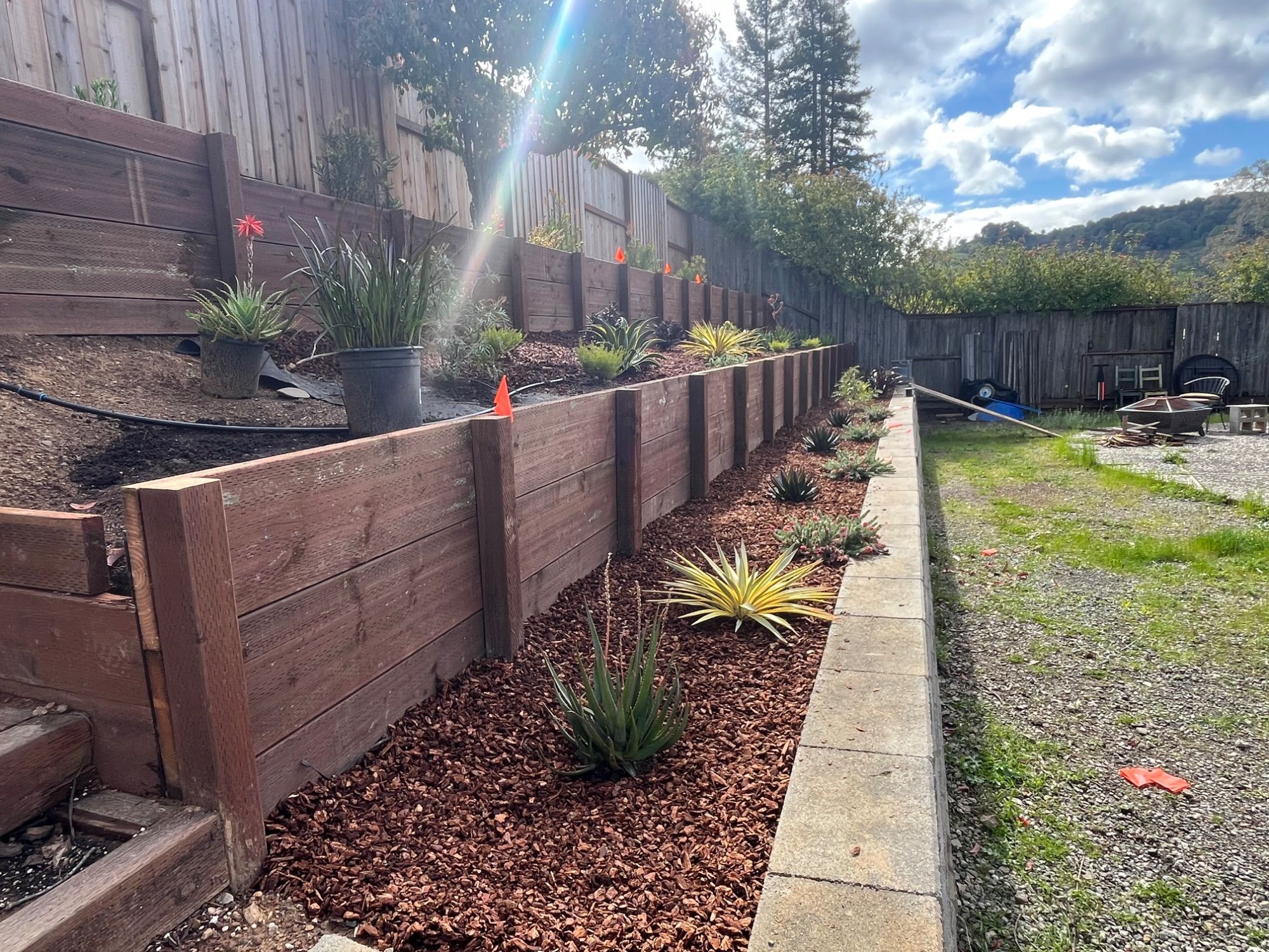 A long timber retaining wall with a new planting bed of red bark running beside a lawn