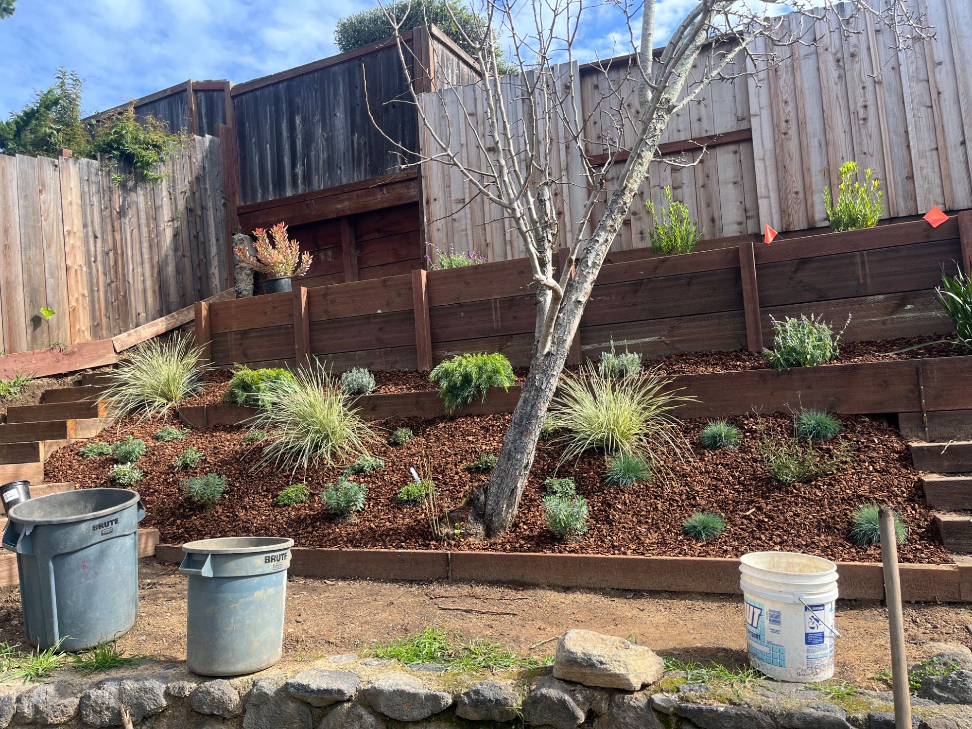A hillside terrace newly planted with grasses and shrubs over fresh bark mulch