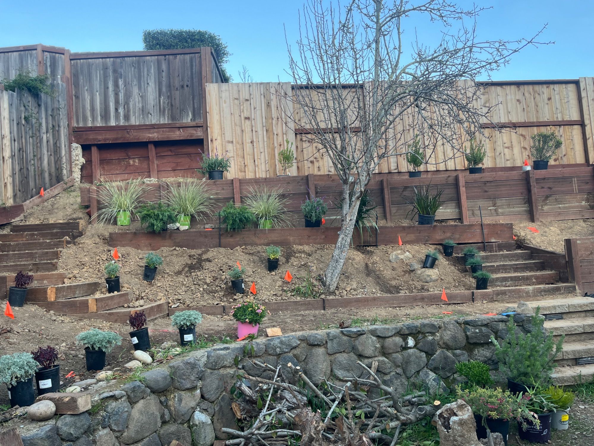 A hillside garden part way through planting, with pots set out along the timber terraces