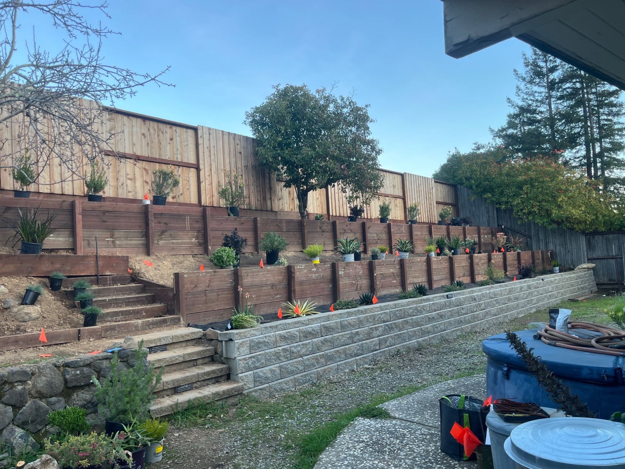 A terraced garden with nursery pots staged along the timber walls, ready for planting