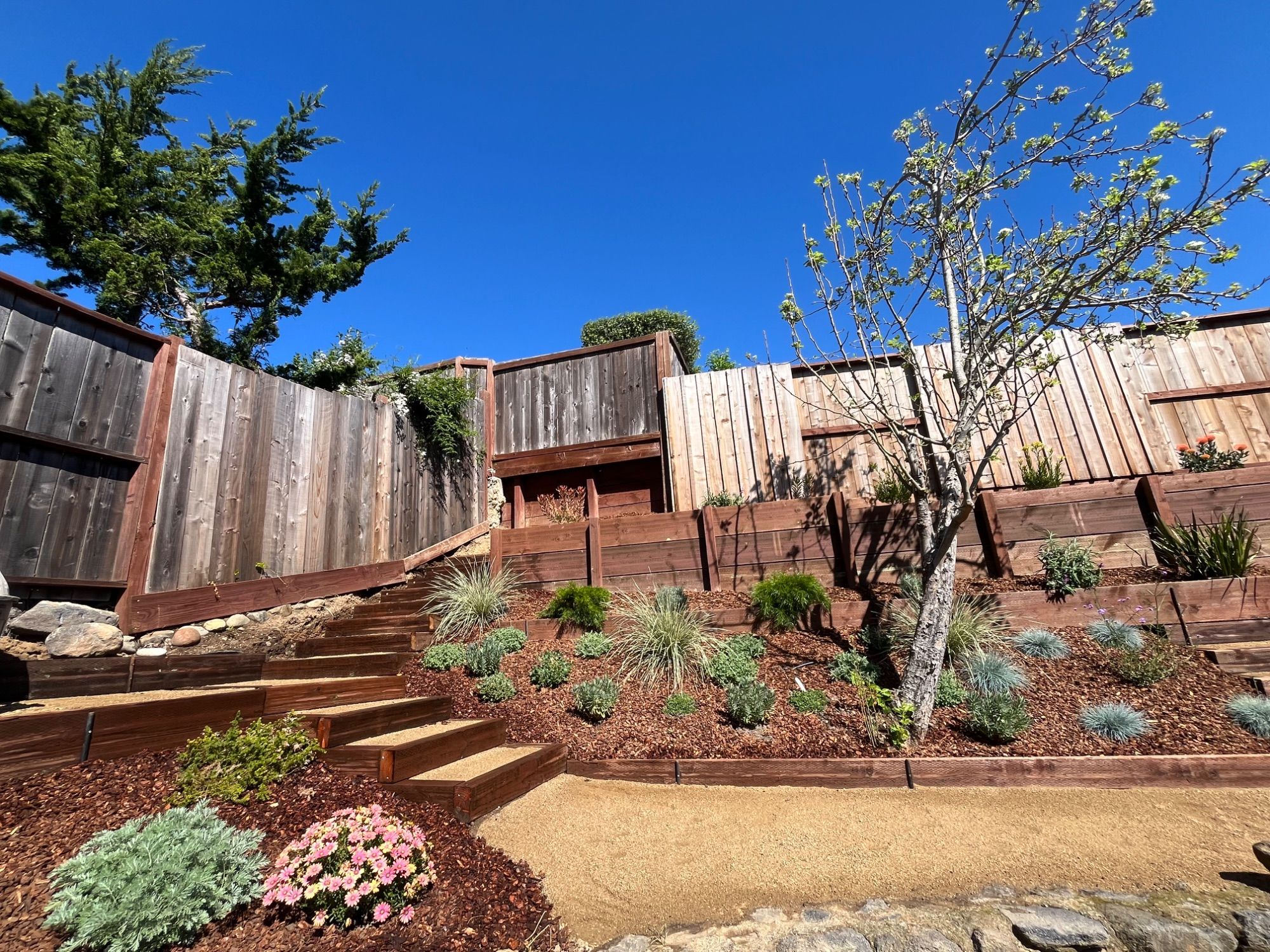 A terraced hillside planted out with grasses and shrubs, timber steps running up through it