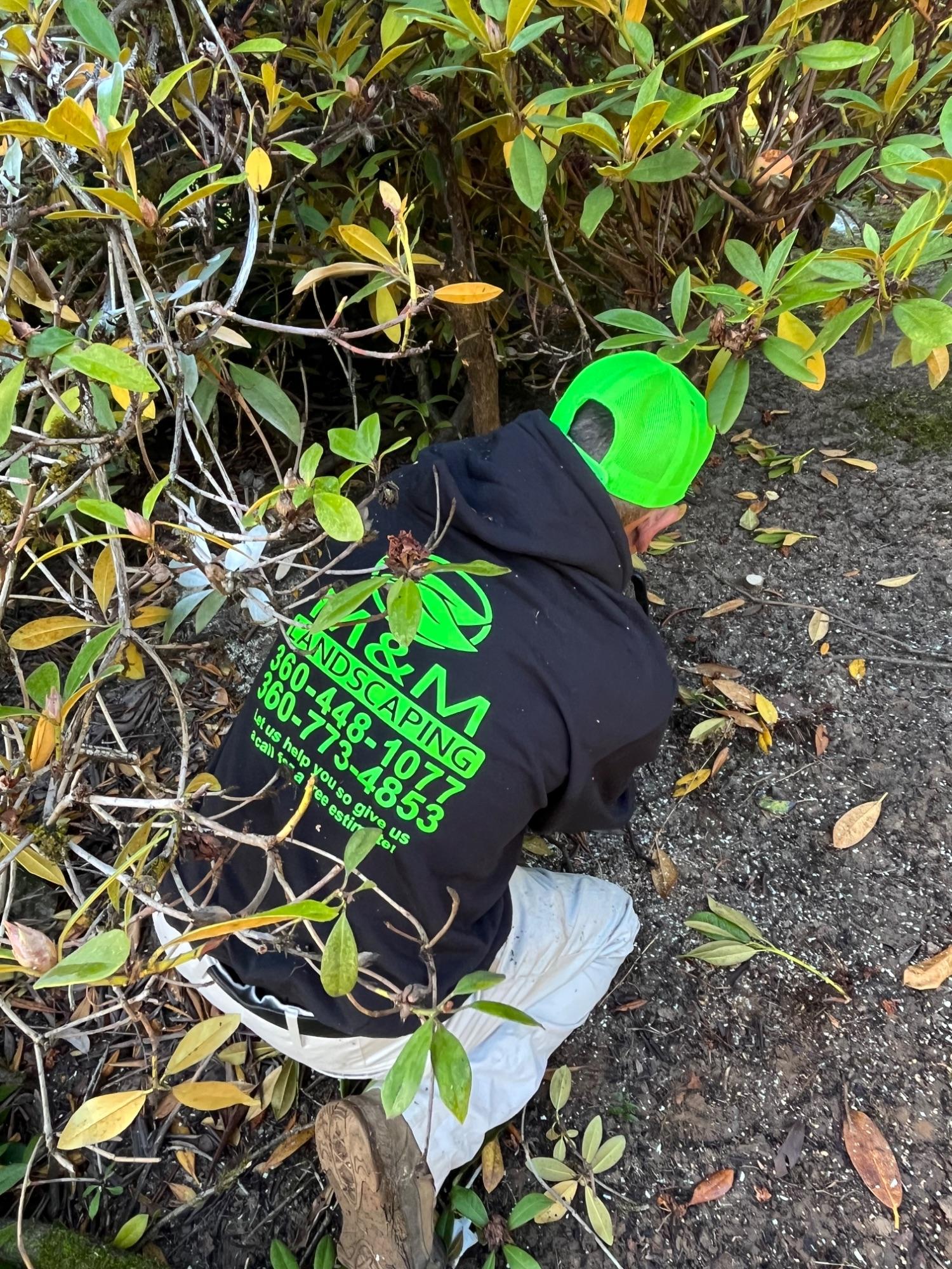 M&M Landscaping LLC team at work