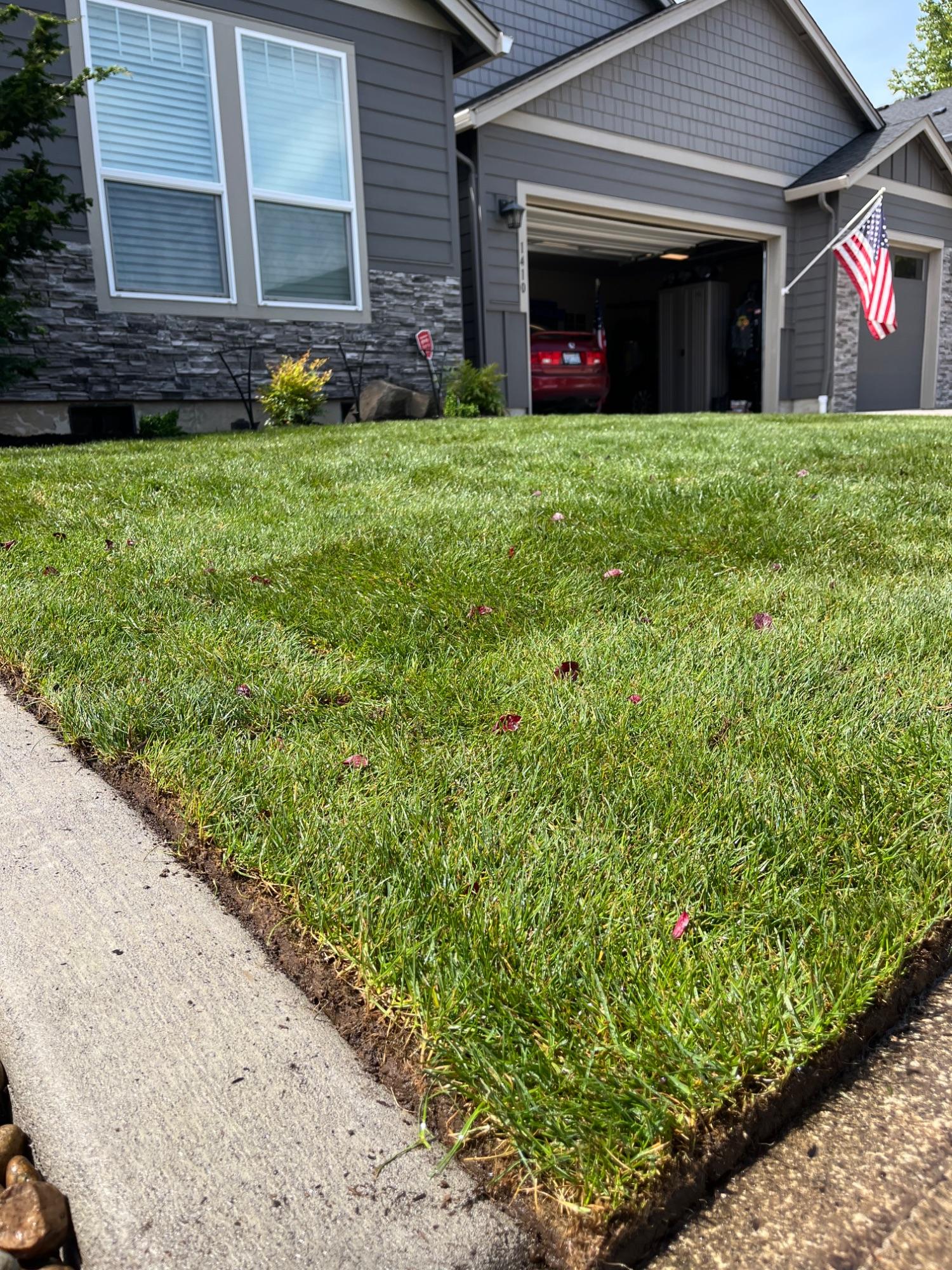 Freshly installed green lawn in front of a Vancouver, WA home, landscaped by M&M Landscaping