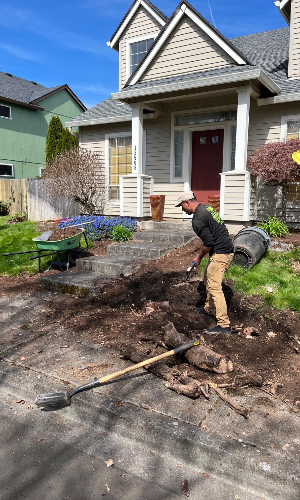 Yard Cleanup