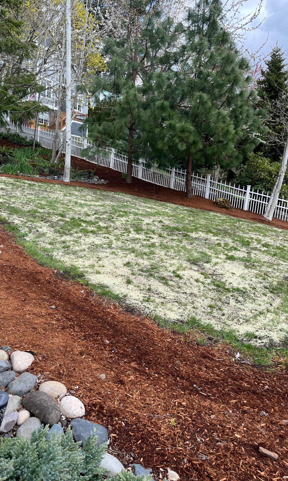 Bark Dust Installation