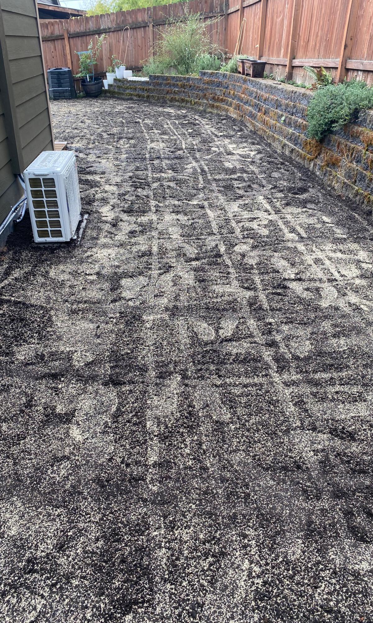 Aeration & Dethatching