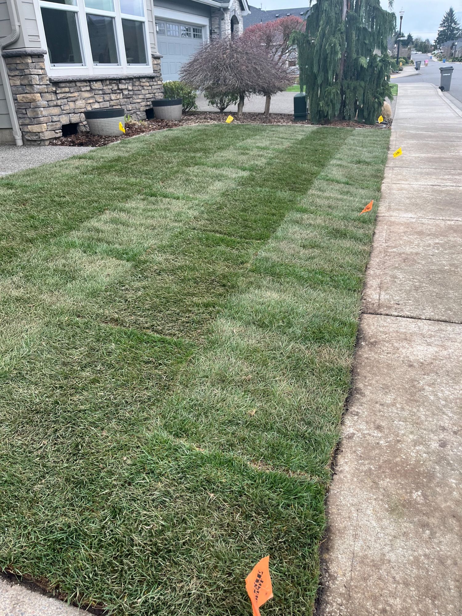 M&M Landscaping LLC project photo 9