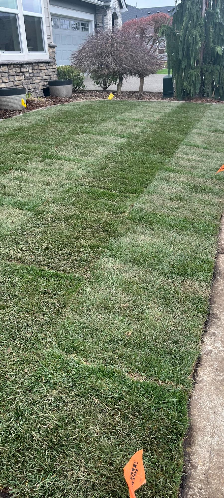 M&M Landscaping LLC project photo 9