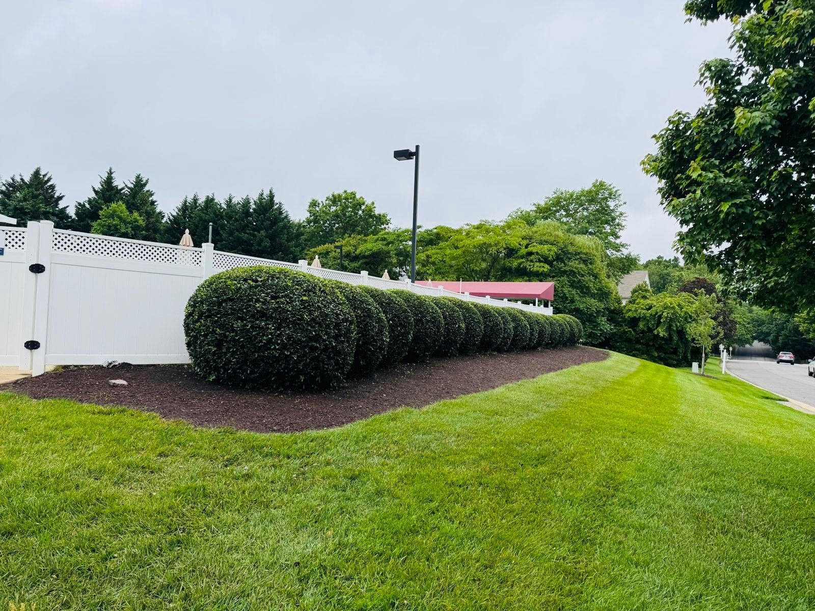 Lawn care and landscaping work by Macías Lawn Care, Inc. — photo 1 of 13