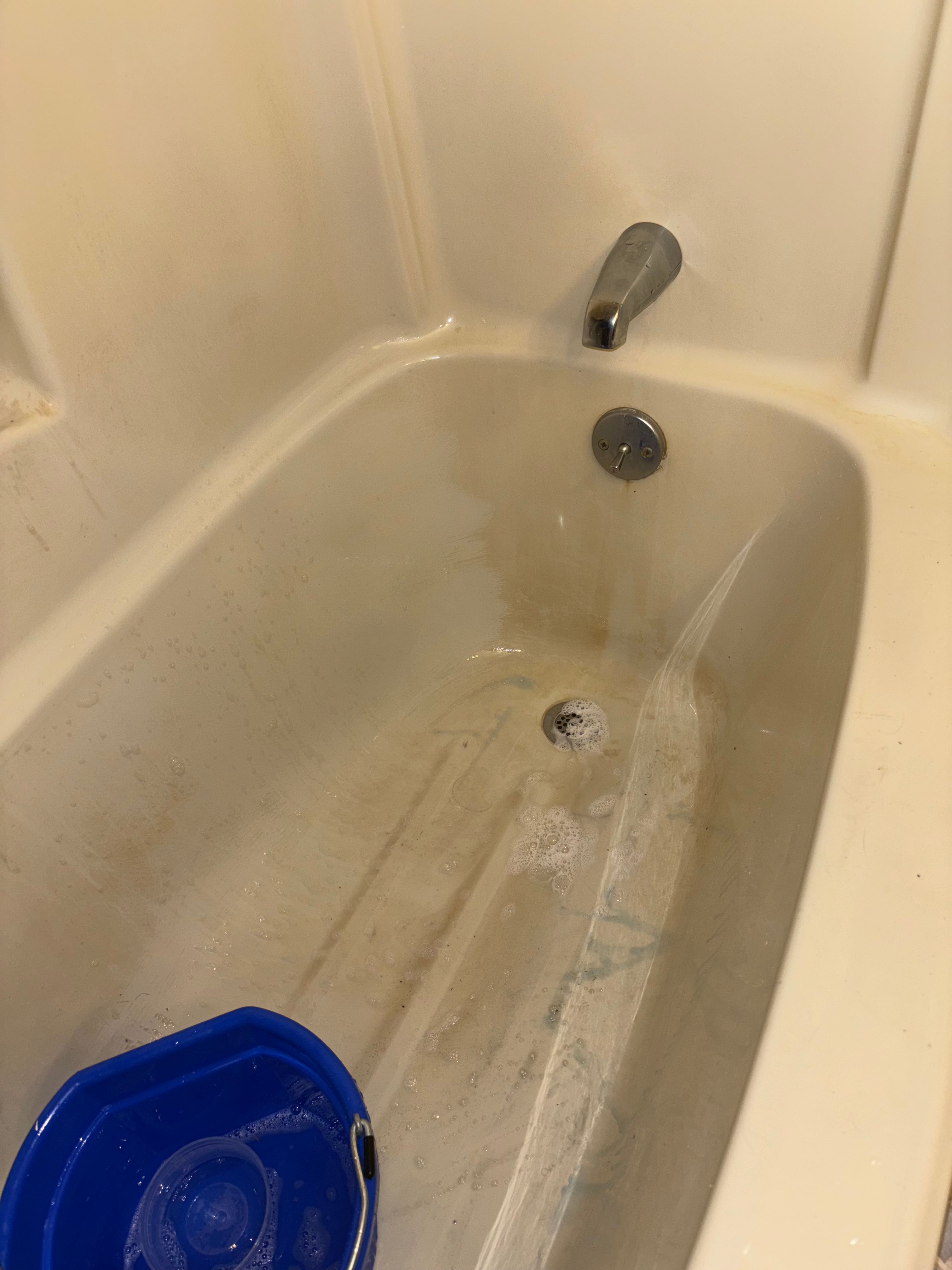 Mary's Black Label Cleaning Co. project photo 15