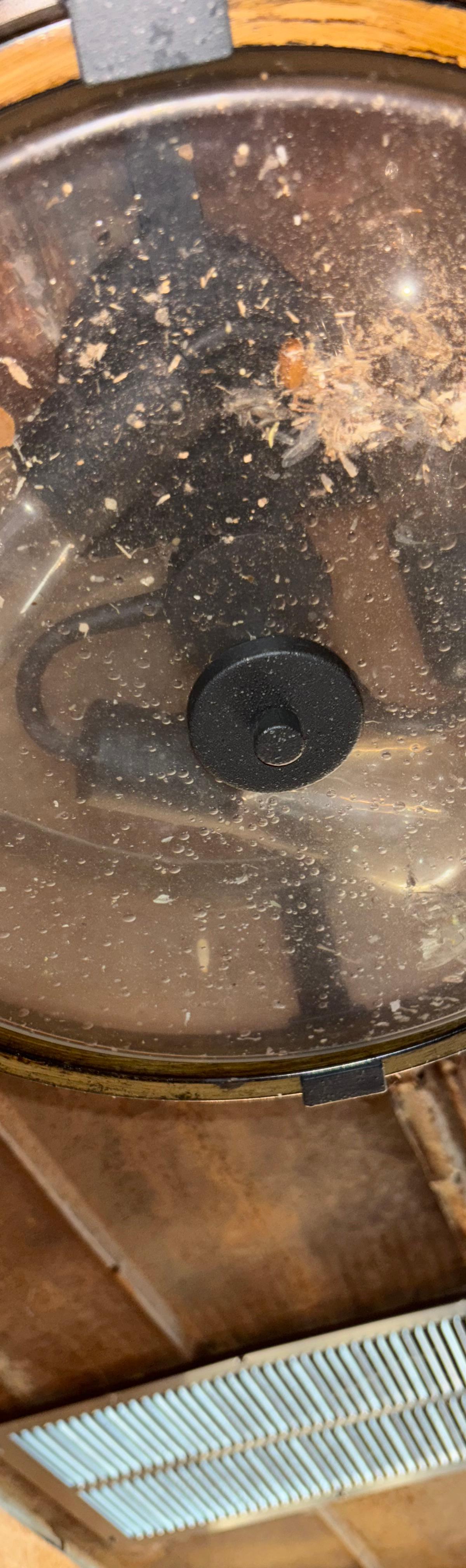 Light fixture detail clean — before
