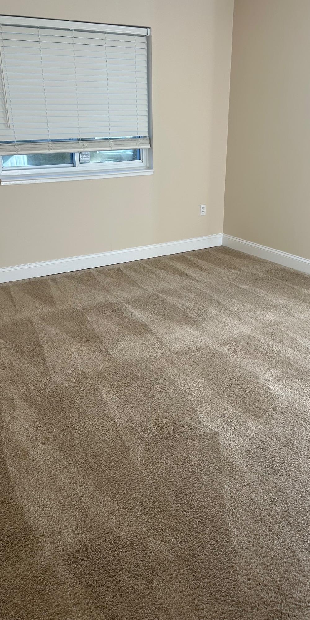 How Often Should Commercial Carpet Be Deep Cleaned?