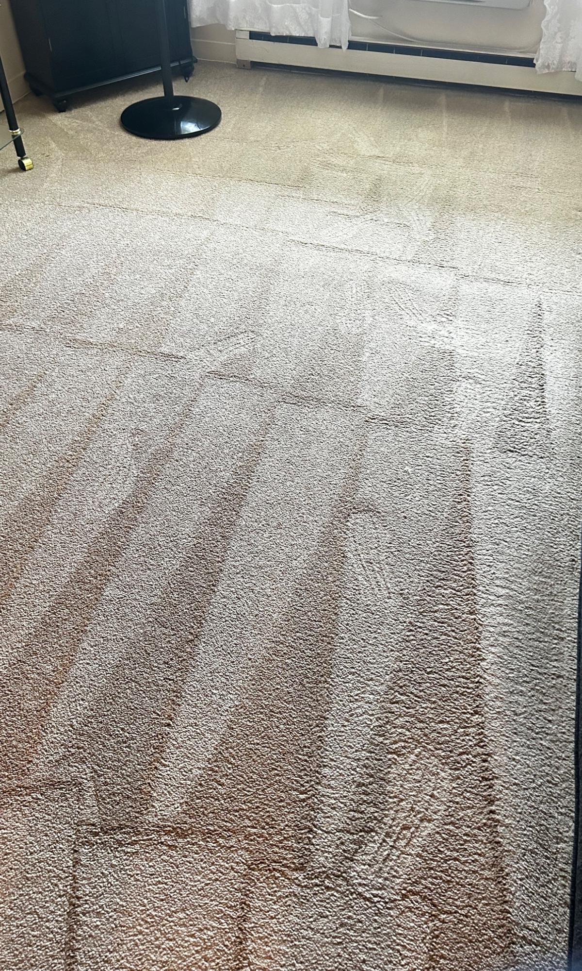 Carpet Cleaning