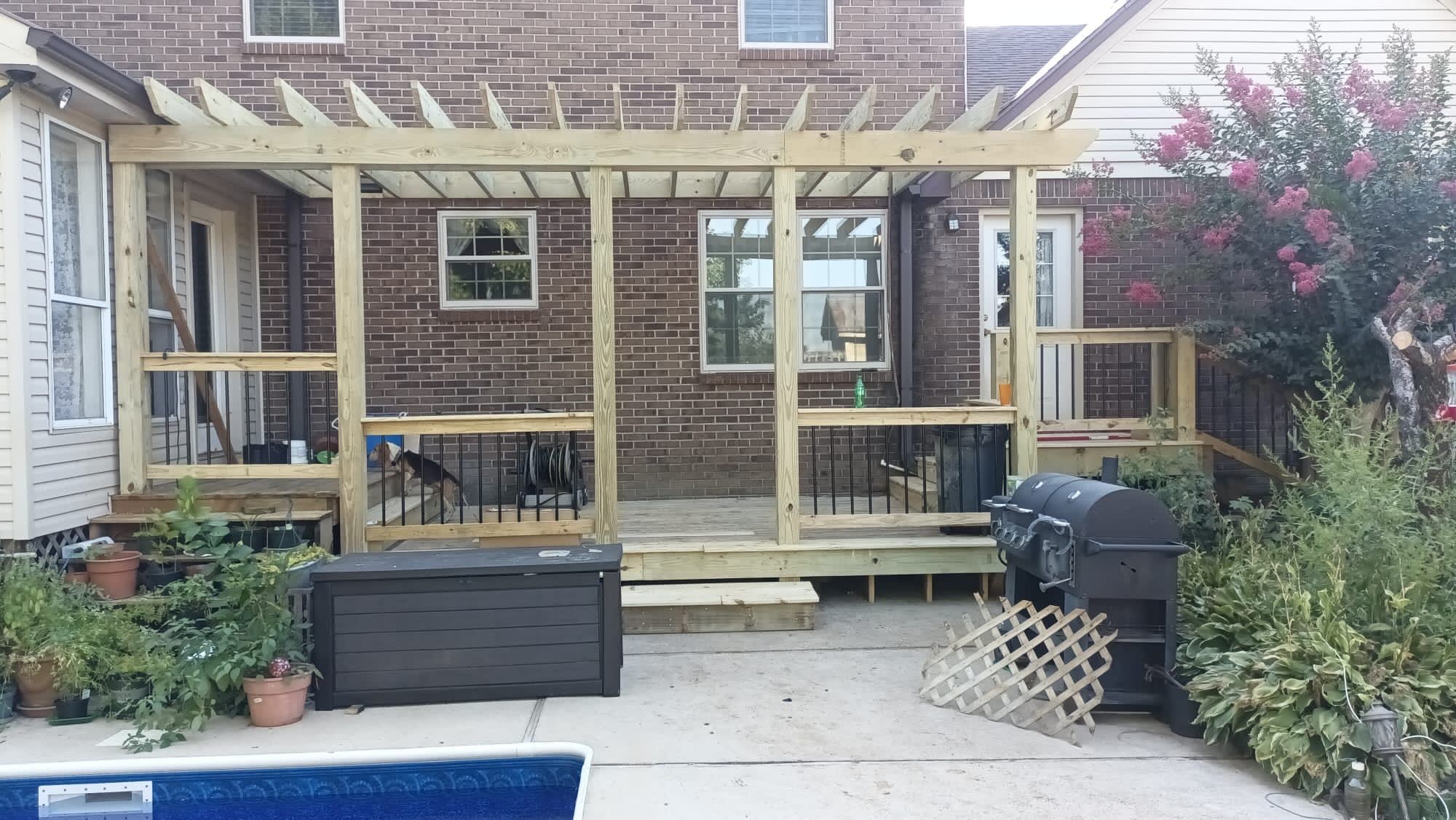 Morales Backyard Renovations project photo 18