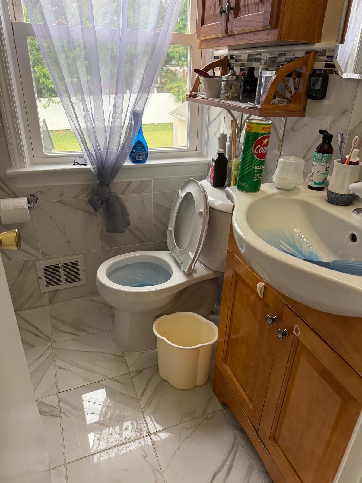 Cleaning work by Orellana Cleaning Services — photo 11 of 72
