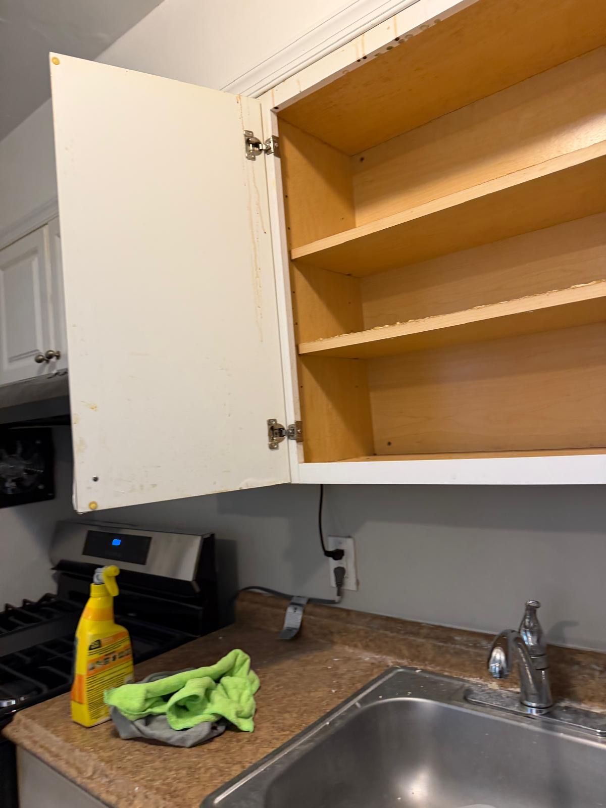 Cleaning work by Orellana Cleaning Services — photo 6 of 72