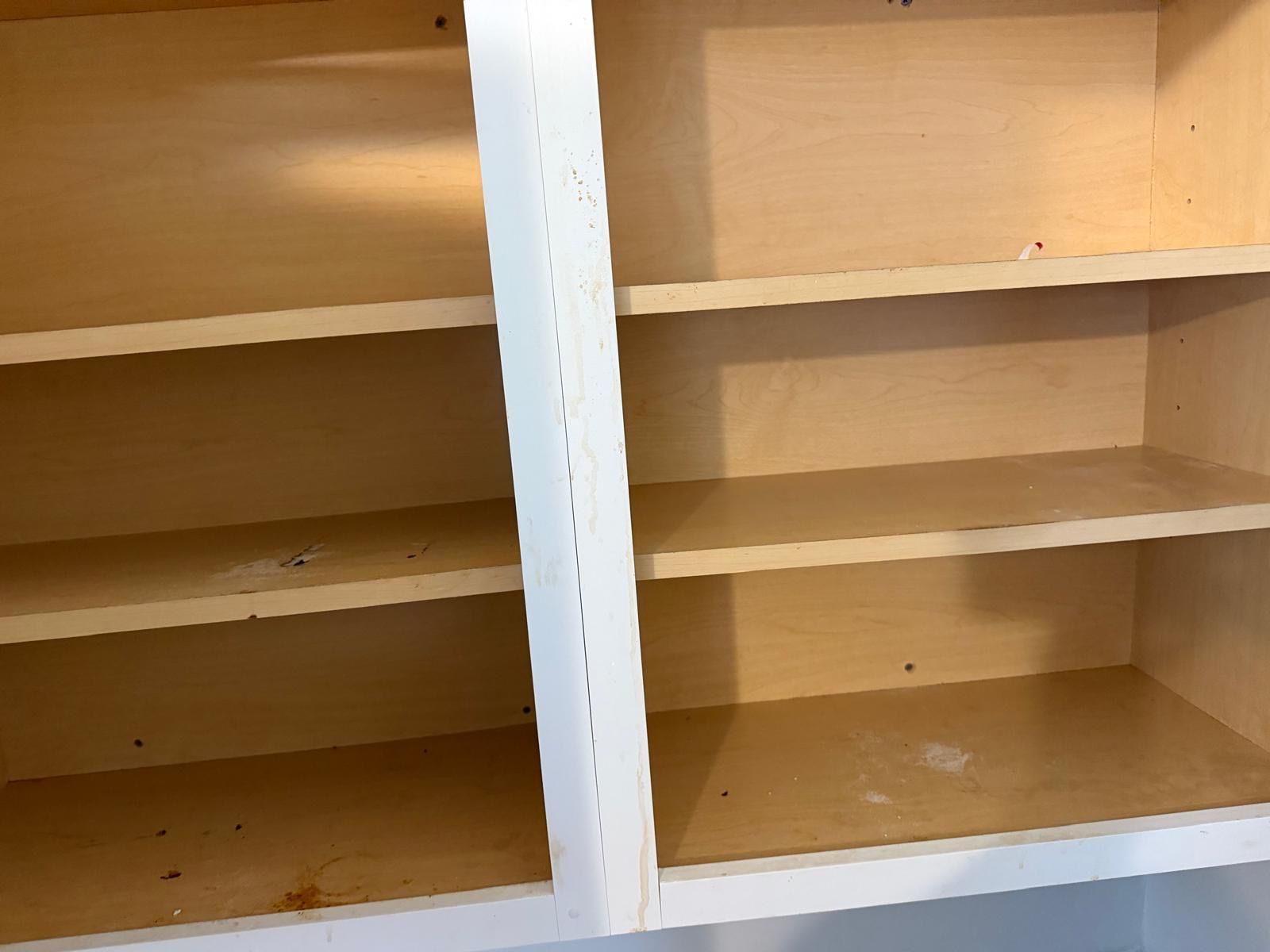 Cleaning work by Orellana Cleaning Services — photo 3 of 72