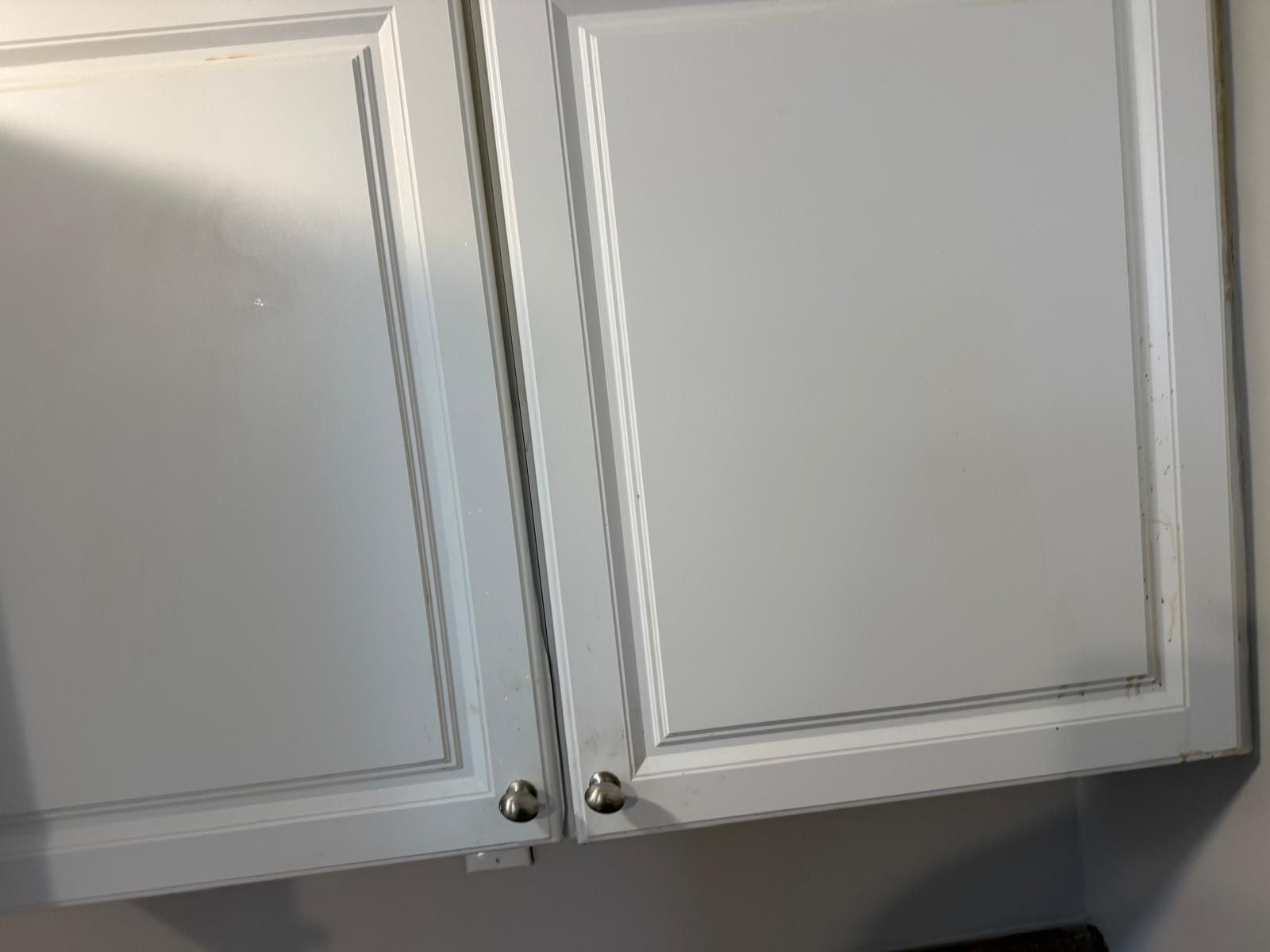 Cleaning work by Orellana Cleaning Services — photo 2 of 72