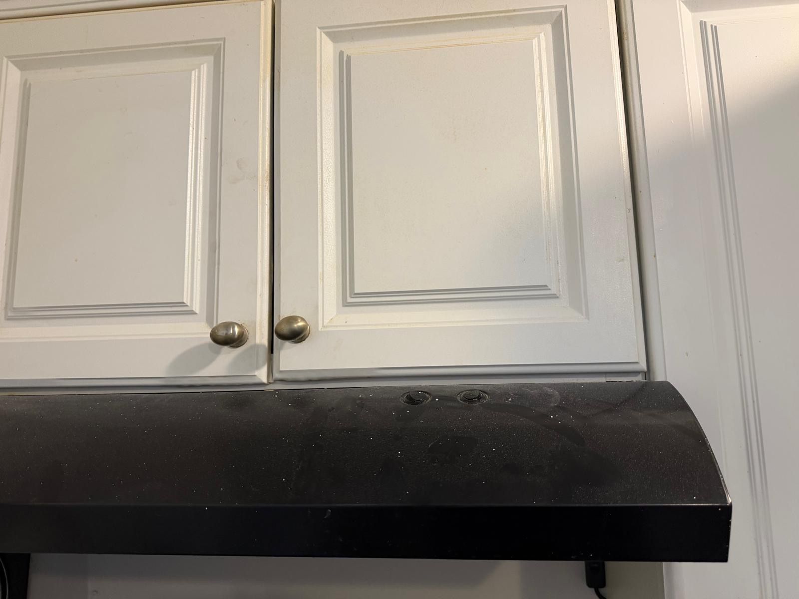 Cleaning work by Orellana Cleaning Services — photo 1 of 72