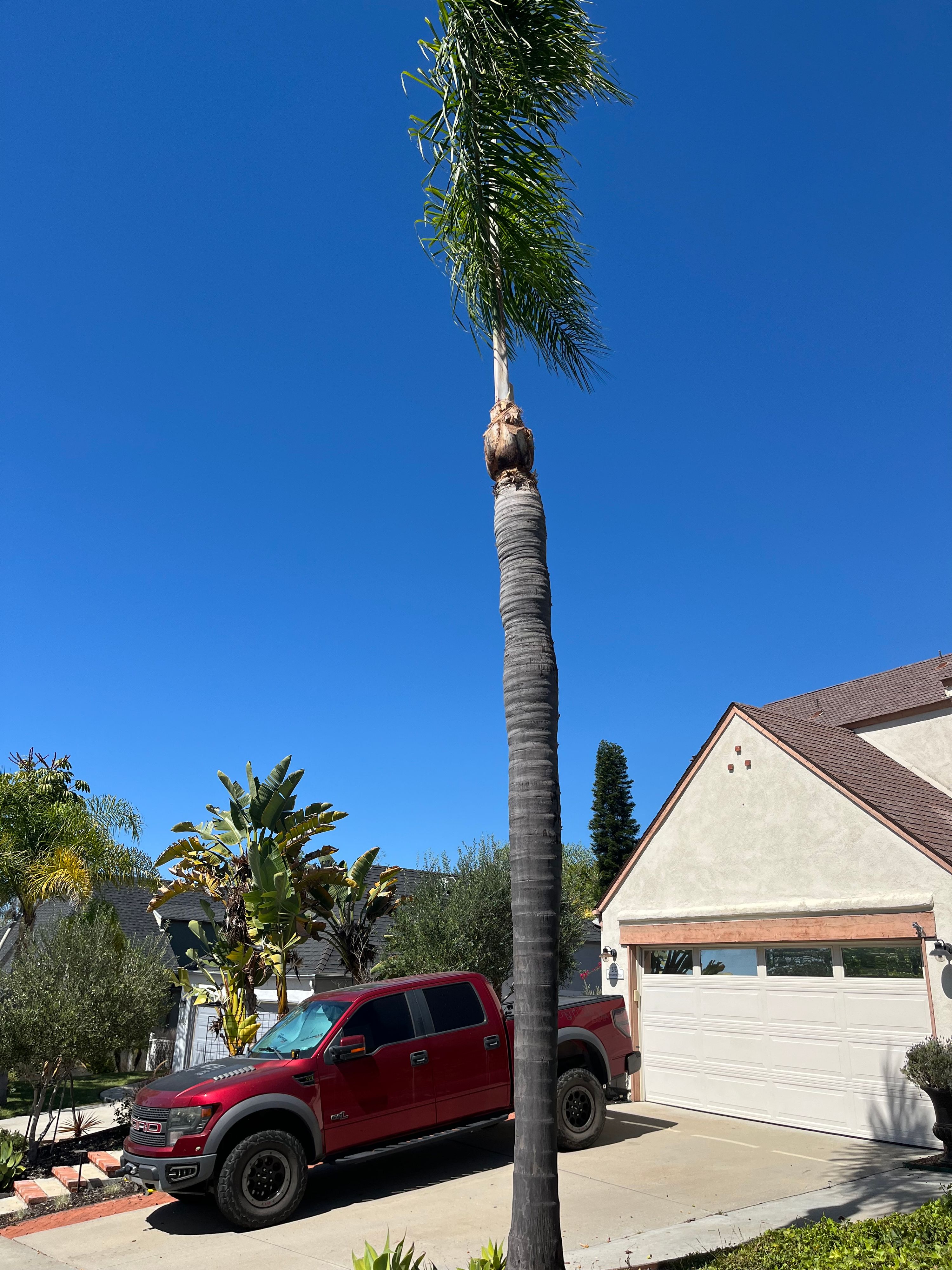 Hardscaping & Tree Service work by Ramirez Hardscapes & Tree Service — photo 9 of 10