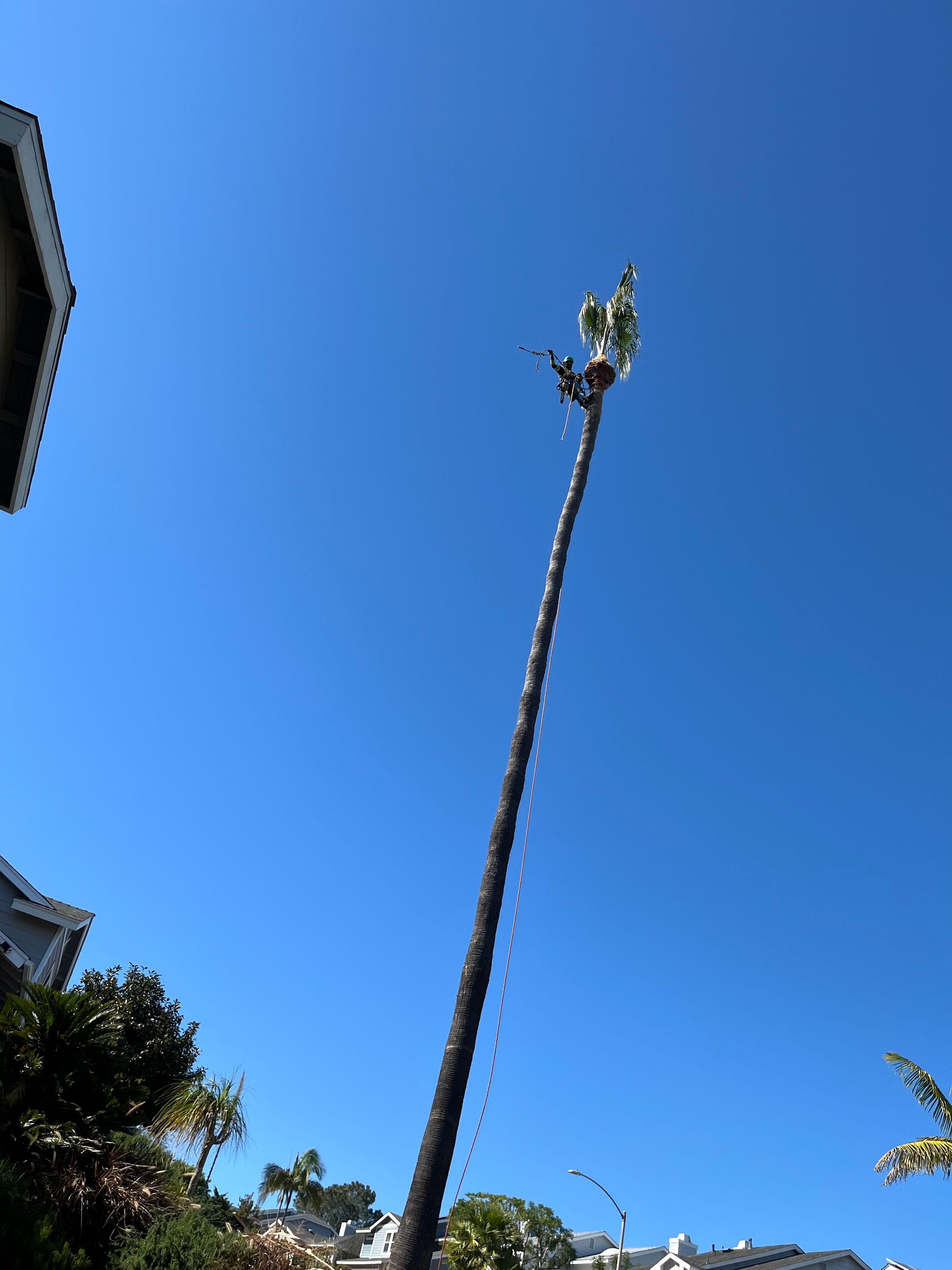 Hardscaping & Tree Service work by Ramirez Hardscapes & Tree Service — photo 8 of 10