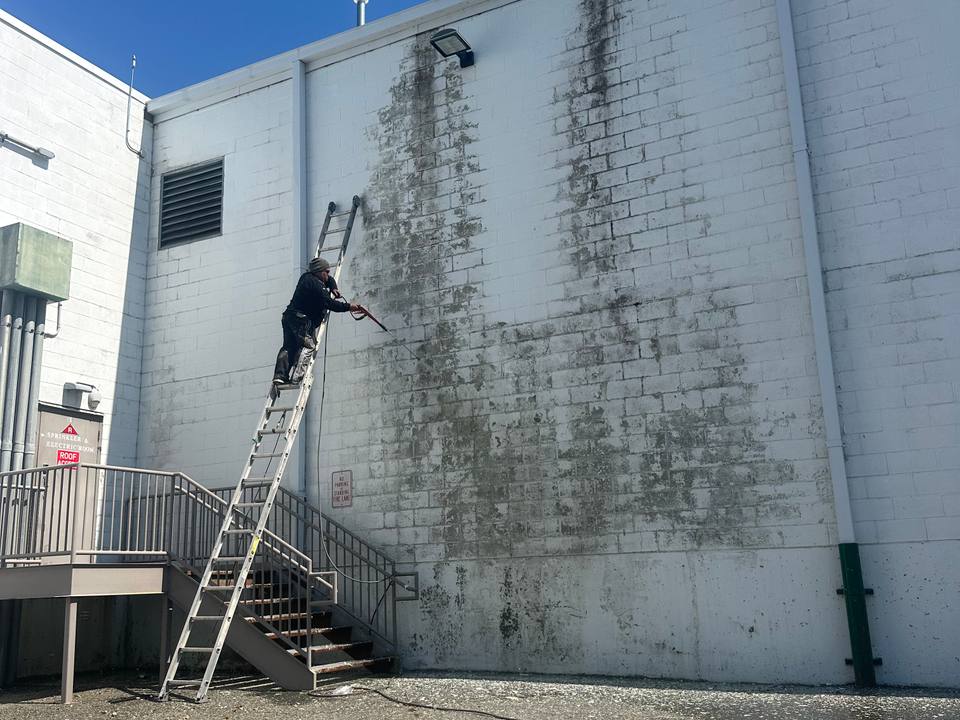 Pressure Washing project completed by Roypainting Service LLC