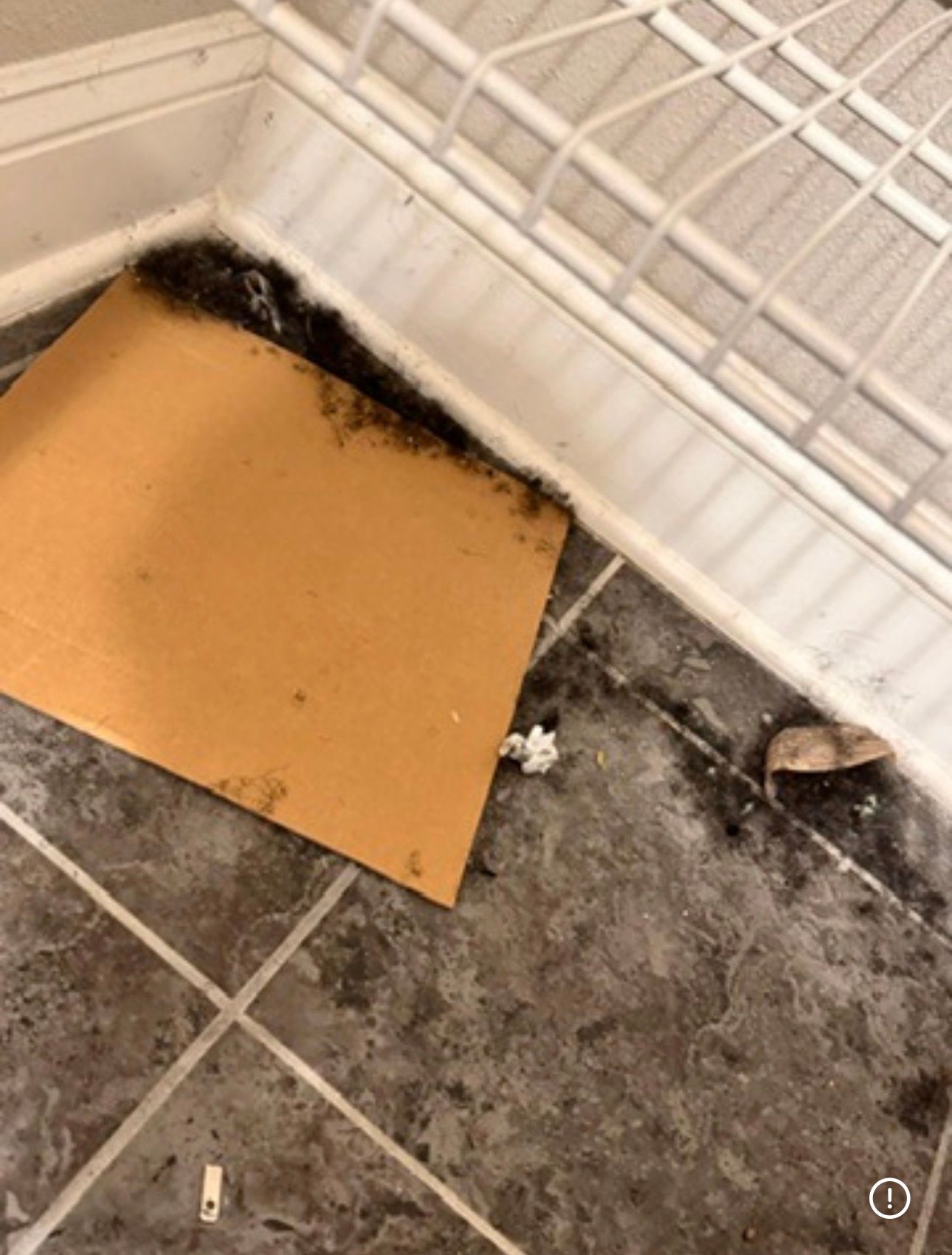 SA Cleaning and Painting project photo 12