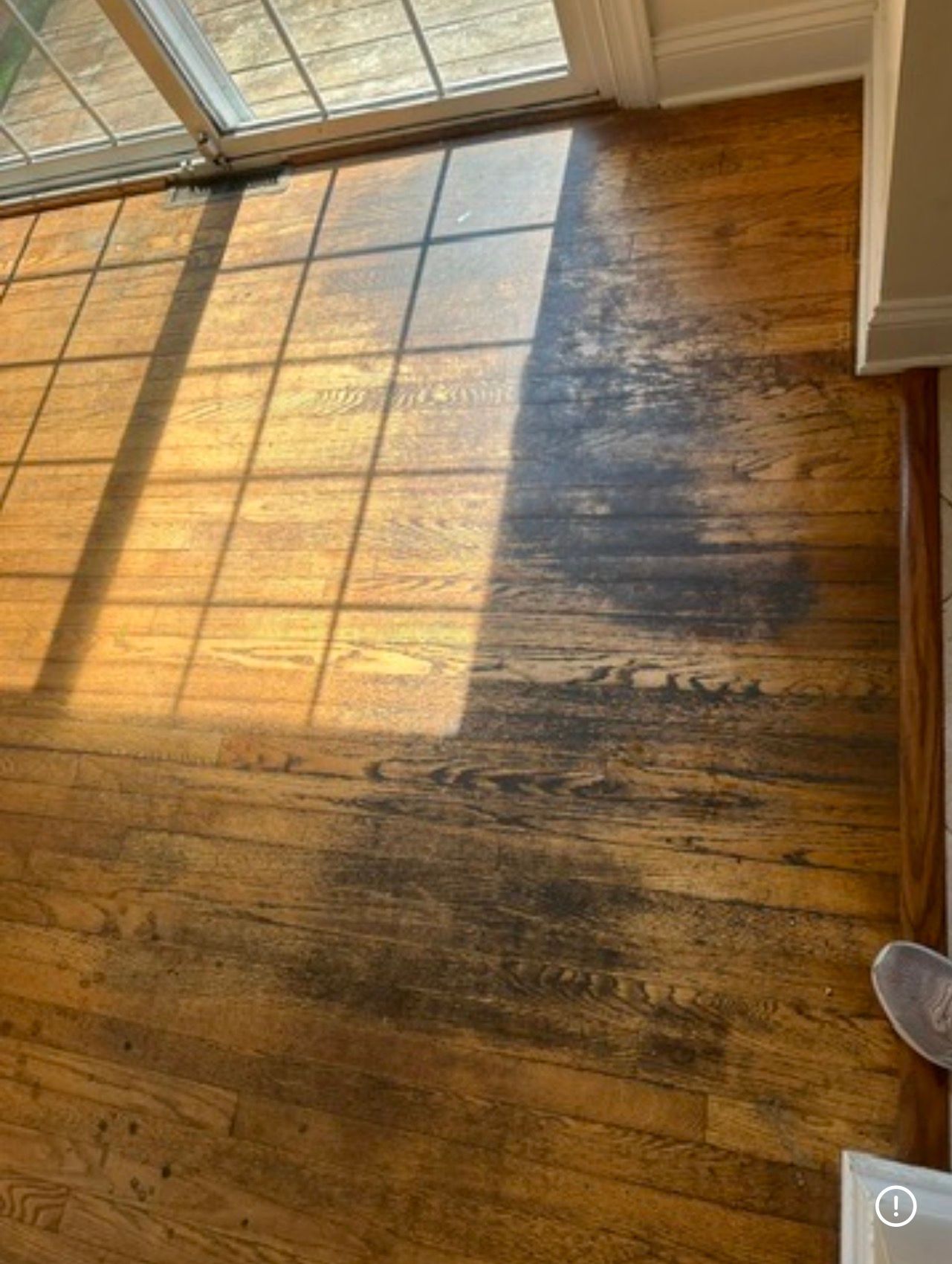 SA Cleaning and Painting project photo 6