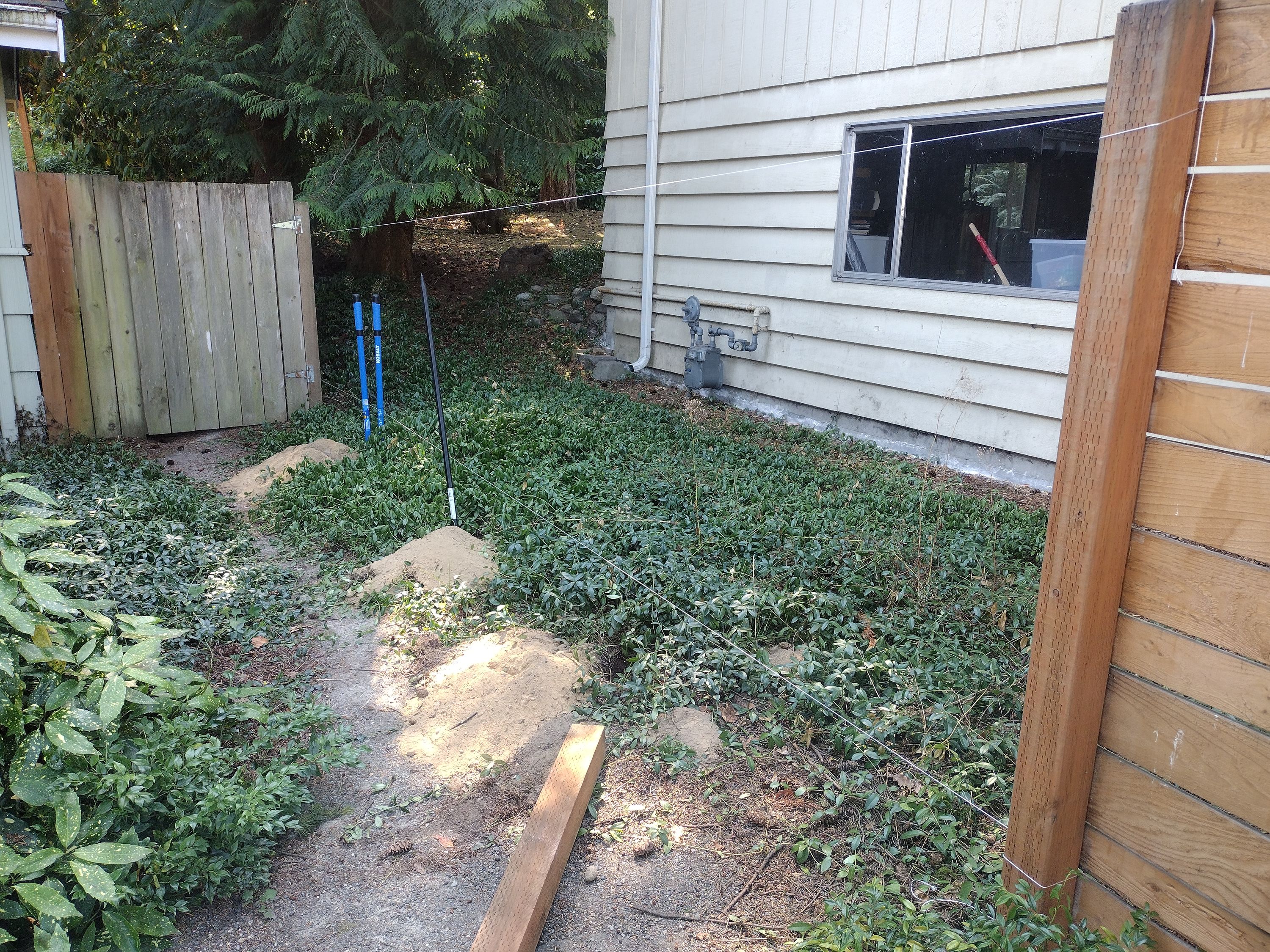 Overgrown side yard cleared and prepped for a new fence