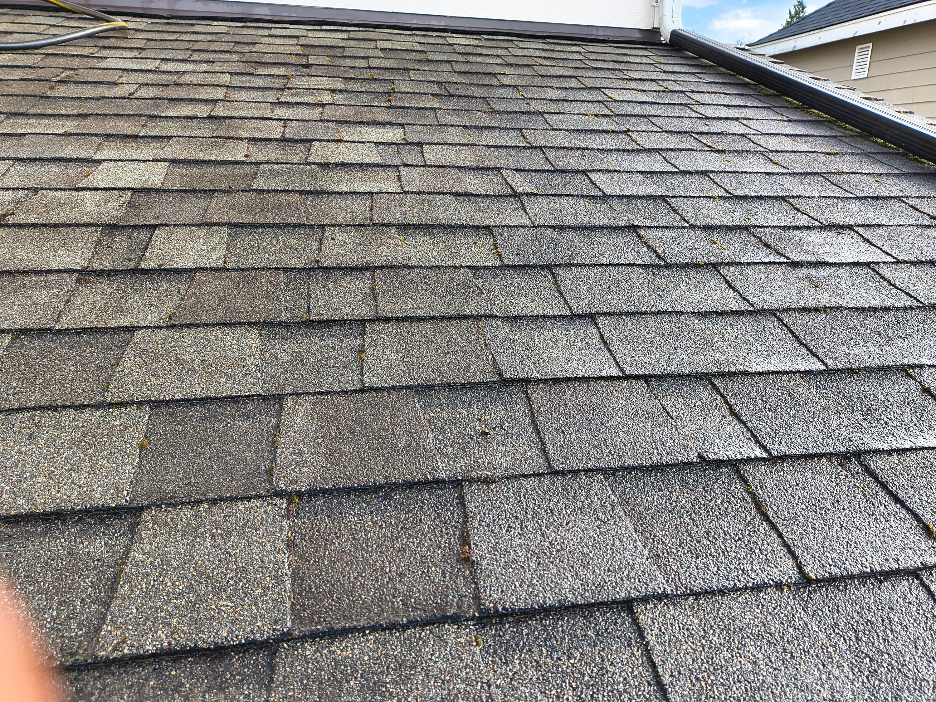 Composition roof cleaned of moss in Lynnwood, WA