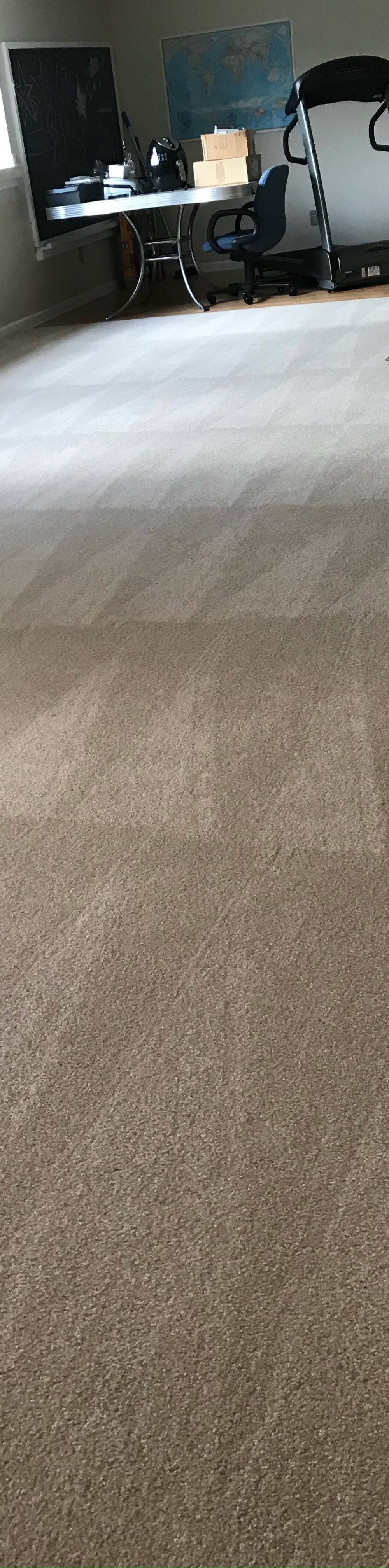 Carpet & Upholstery Cleaning in Deerfield, IL