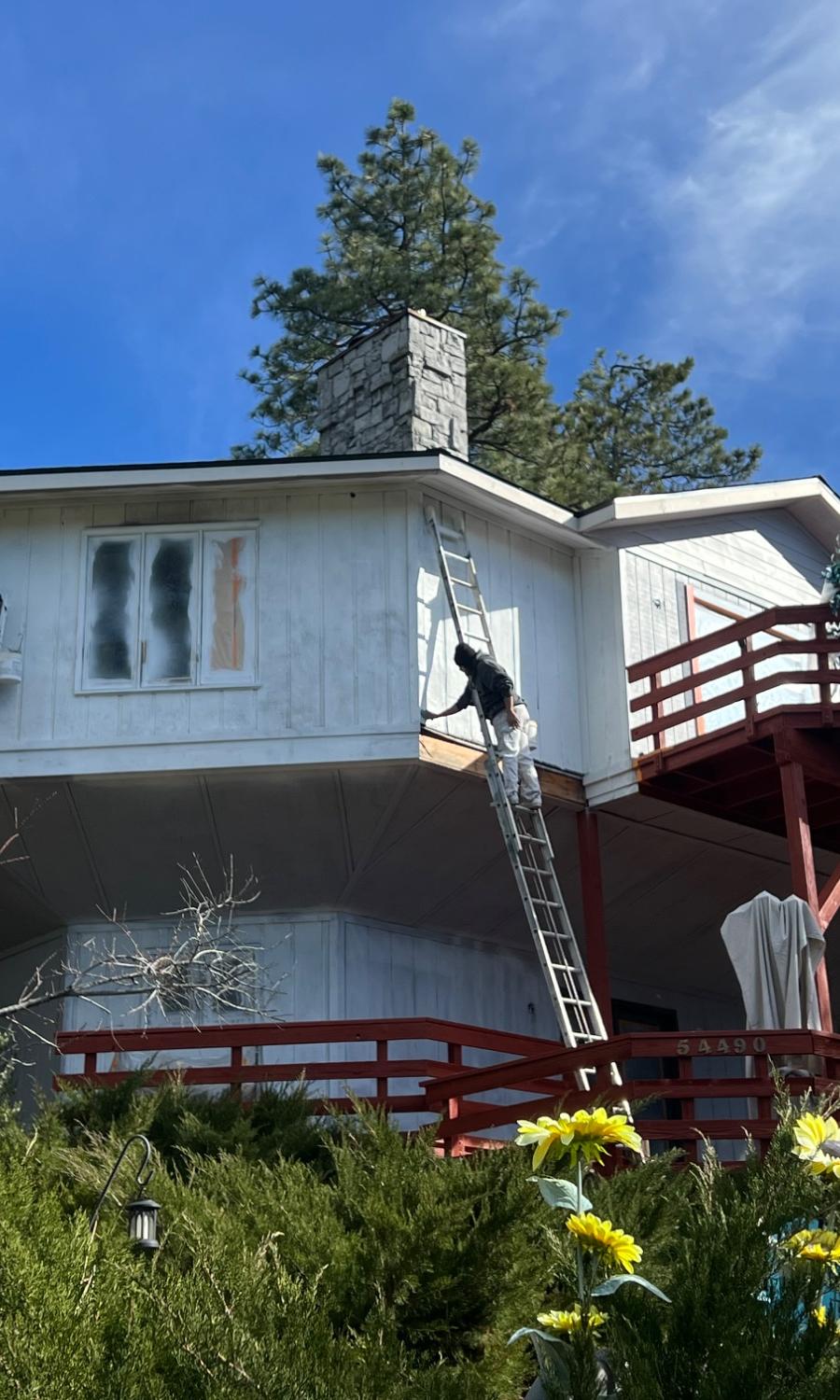 The Painting Monkeys crew working from ladders on an exterior repaint